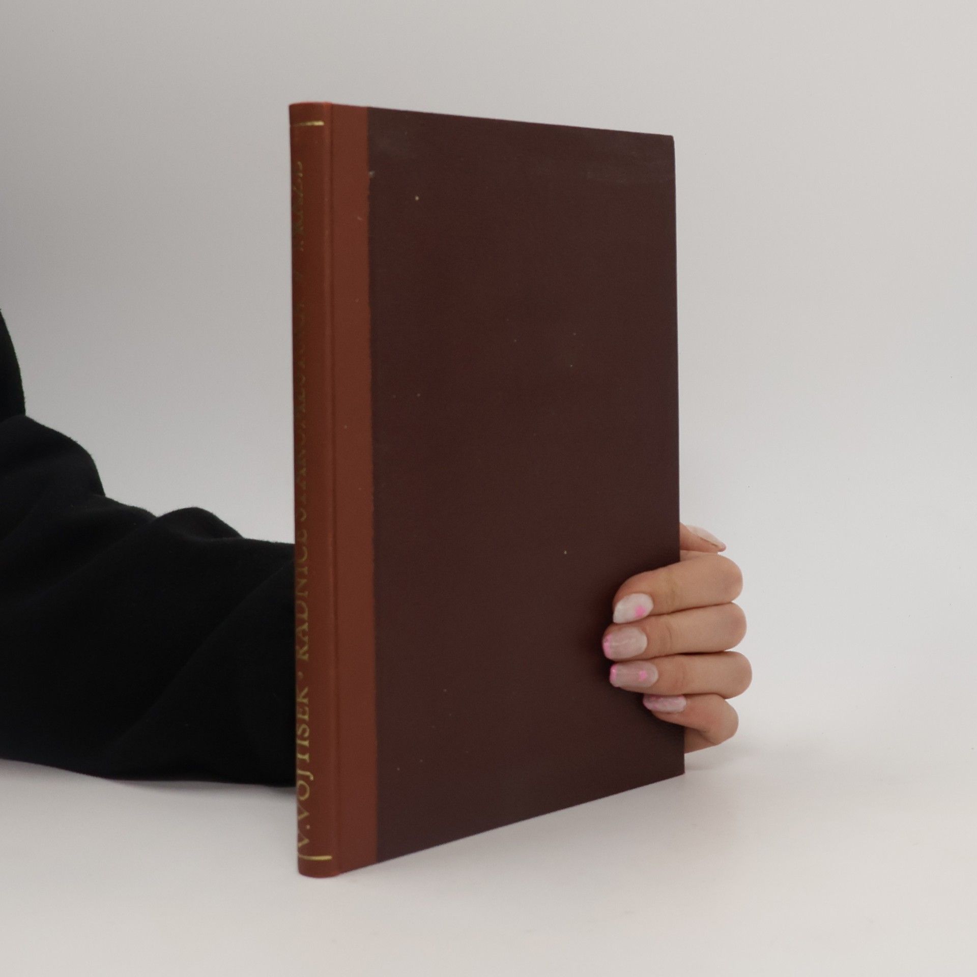 Václav Vojtíšek Radnice Staroměstská v Praze