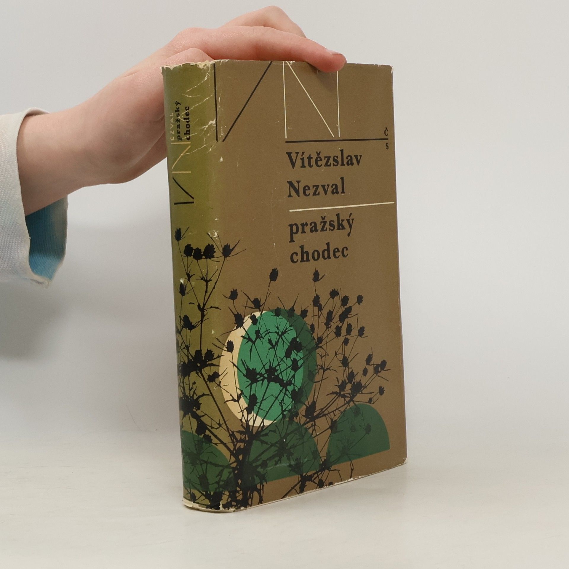Vítězslav Nezval Pražský chodec