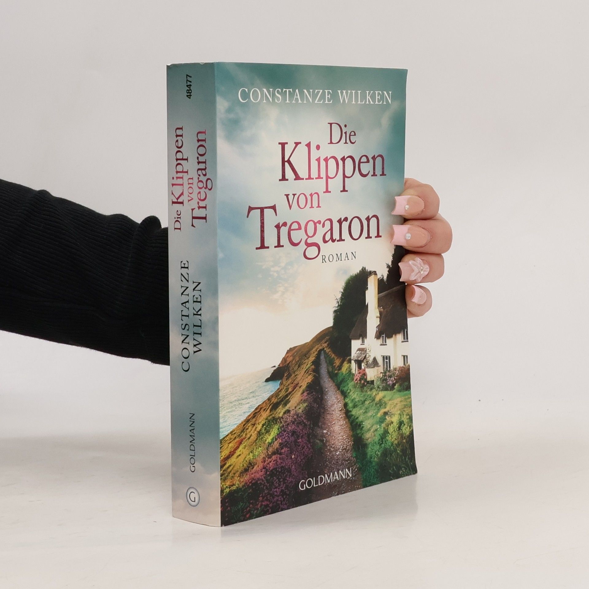 Constanze Wilken Die Klippen von Tregaron