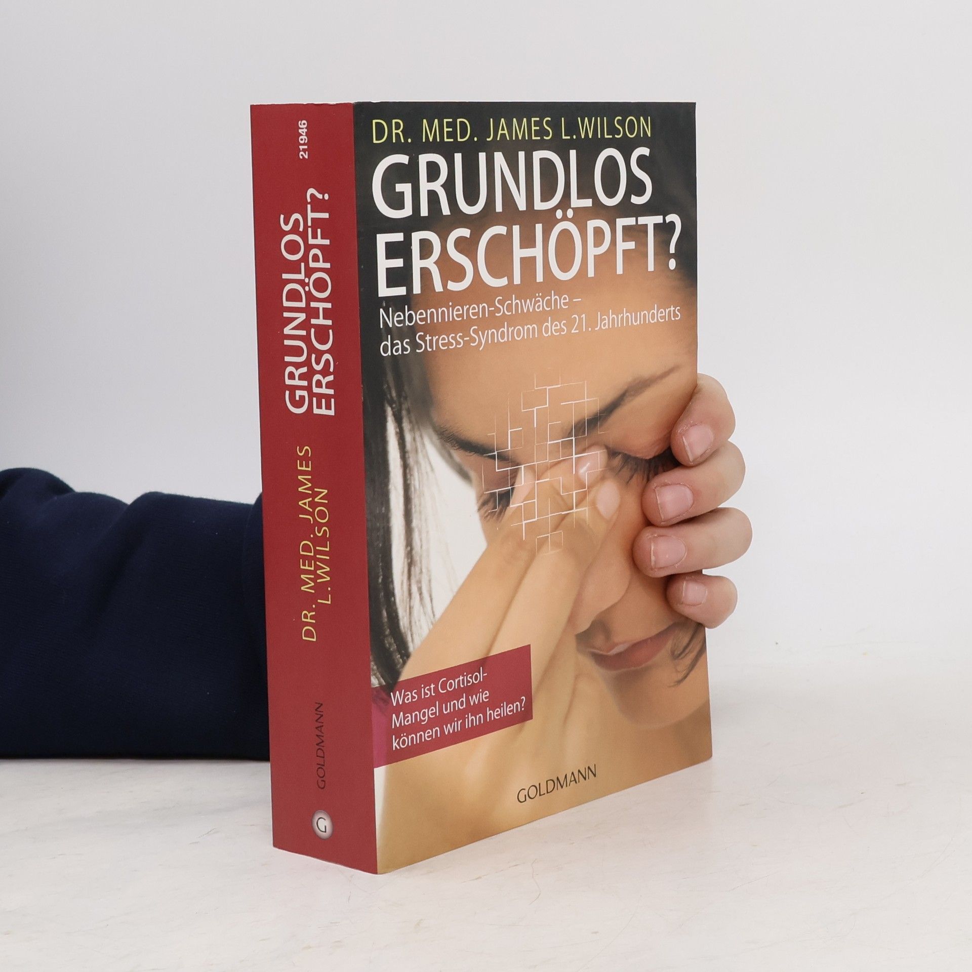 James Lee Wilson Grundlos erschöpft?. Nebennieren-Insuffizienz - das Stress-Syndrom des 21. Jahrhunderts