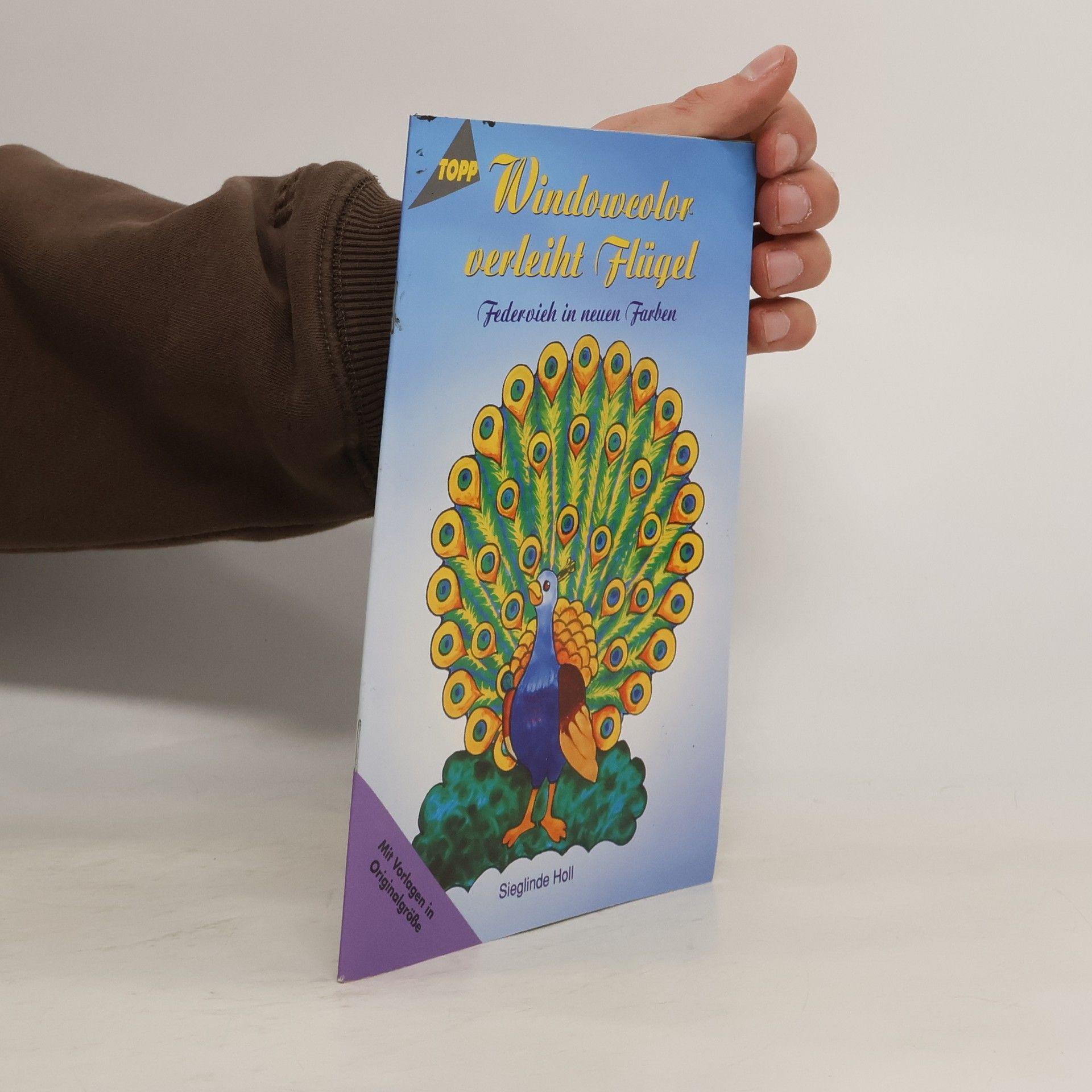 Sieglinde Holl Windowcolor verleiht Flügel