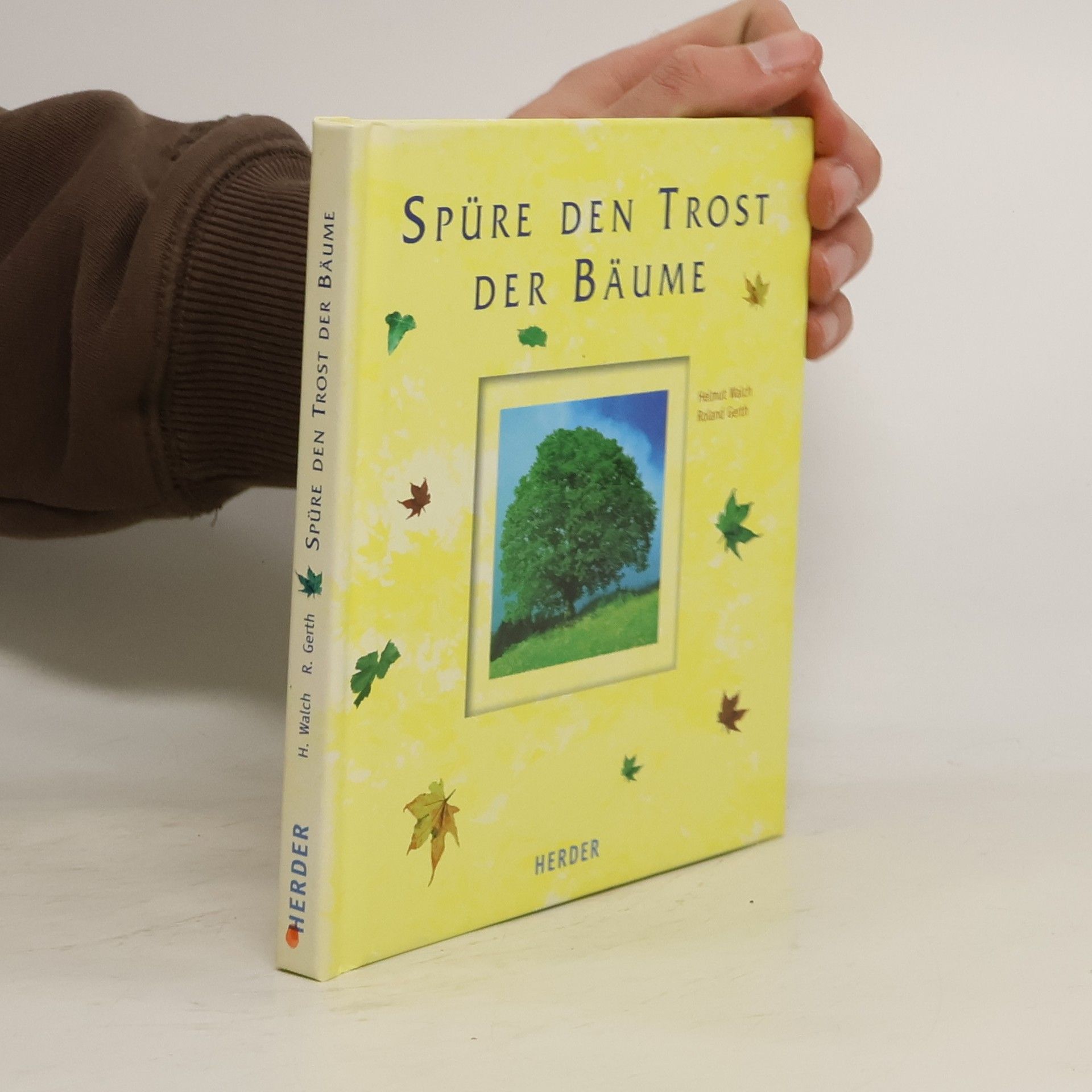 Spüre den Trost der Bäume