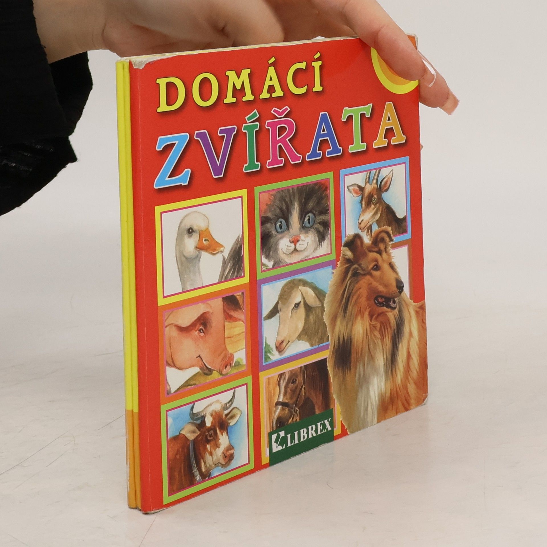 Dagmar Košková Domácí zvířata