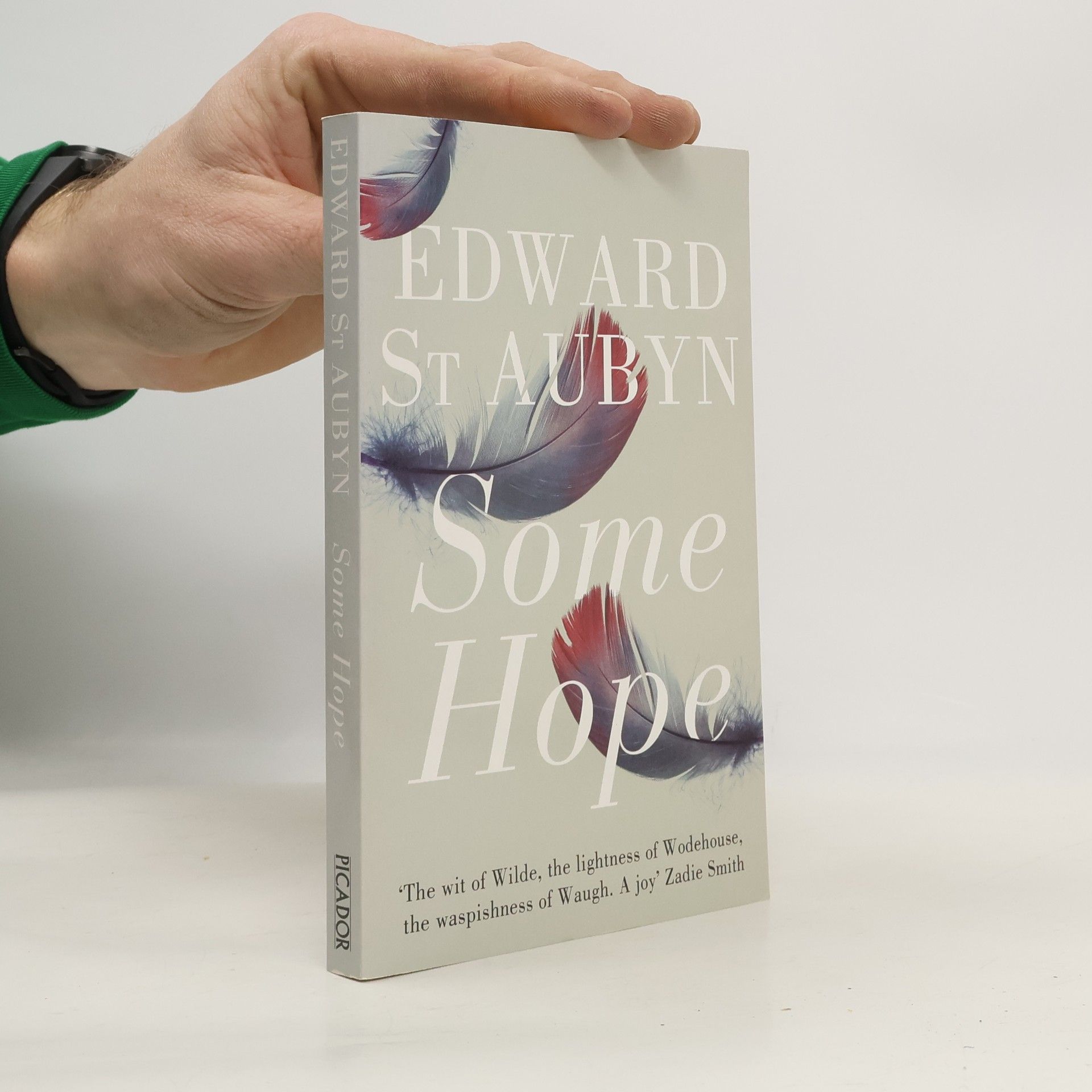 Edward St Aubyn Some Hope. Nette Aussichten, Englische Ausgabe