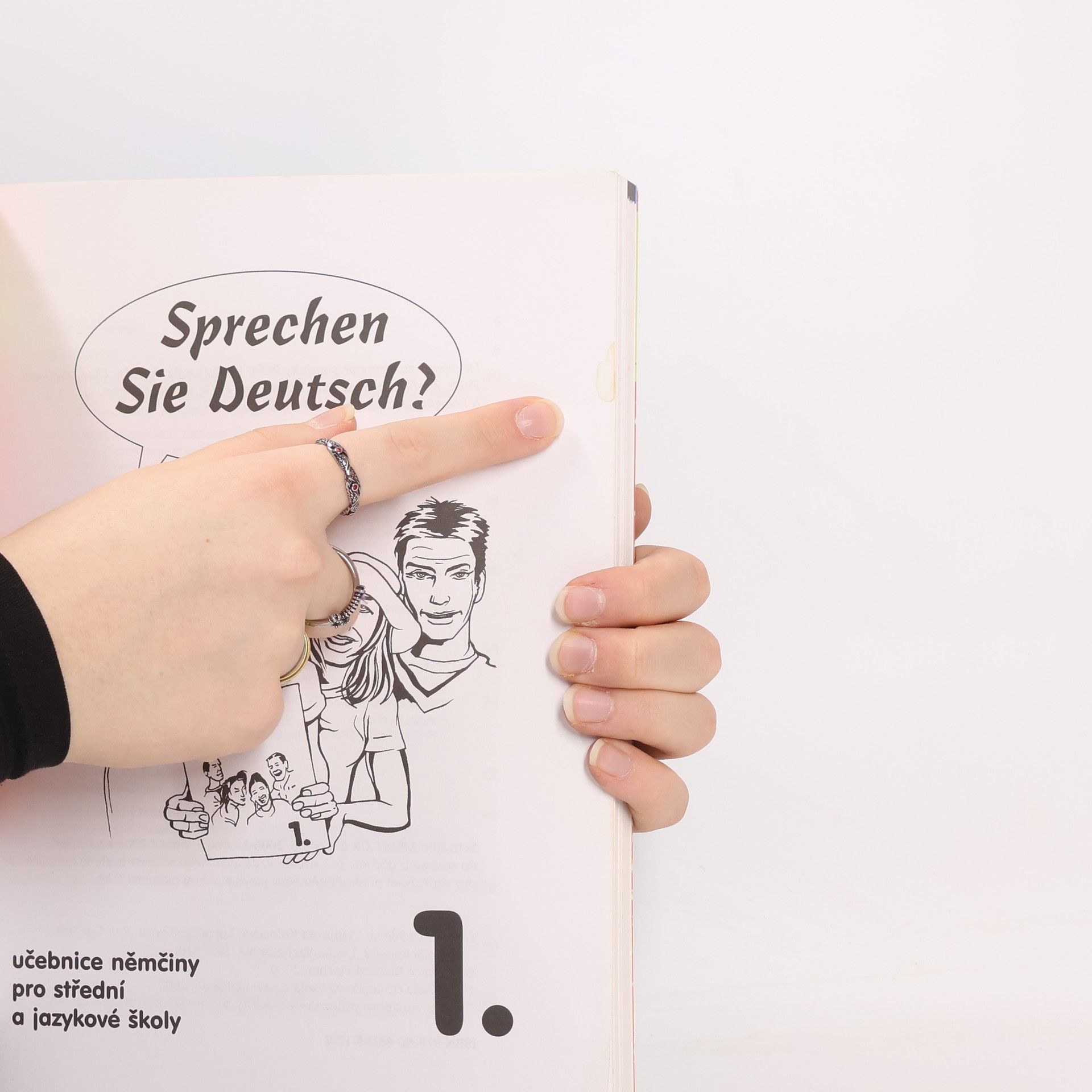 Auteurscollectief Sprechen Sie Deutsch? 1. A2