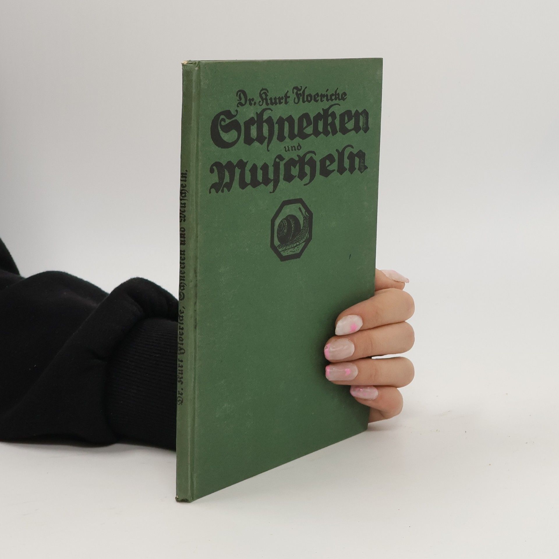 Kurt Floericke Schnecken und Muscheln