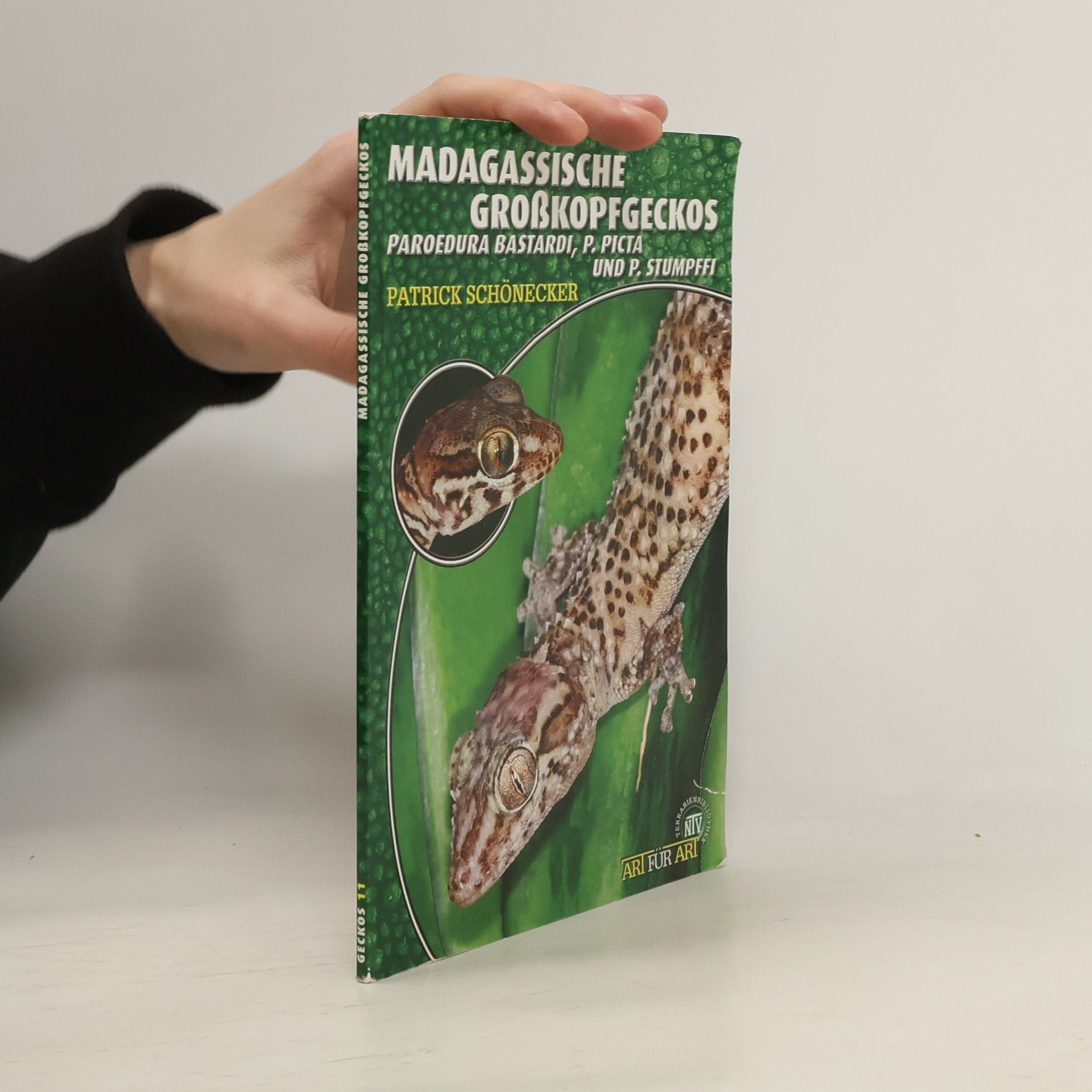 Patrick Schönecker Madagassische Großkopfgeckos