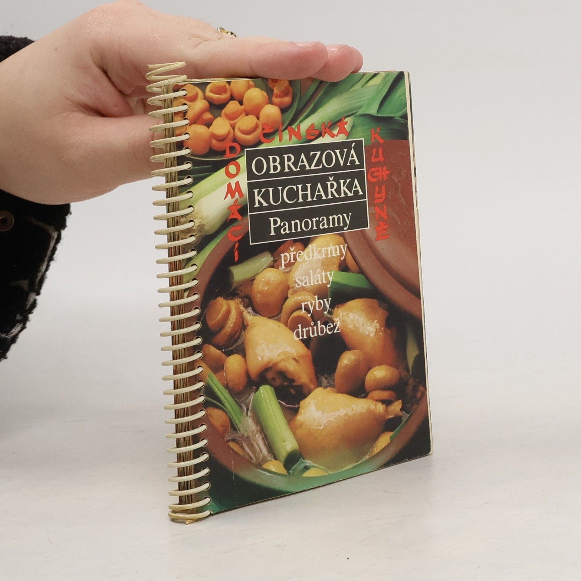 Laděna Štíbrová Obrazová kuchařka Panoramy III. Domácí čínská kuchyně