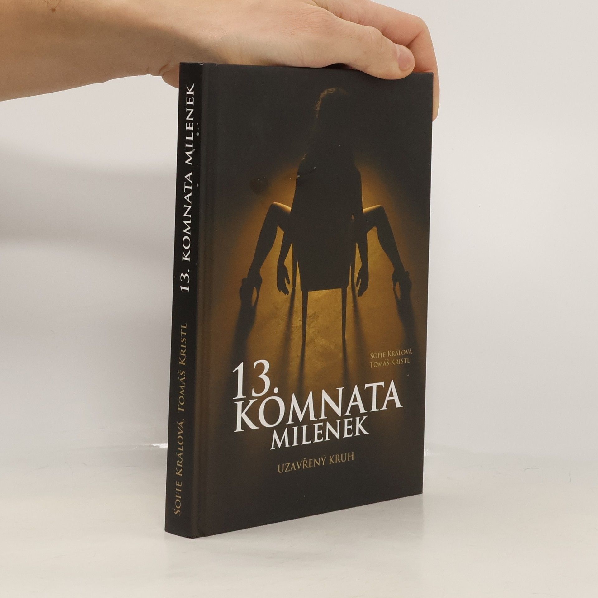 13. komnata milenek. Uzavřený kruh