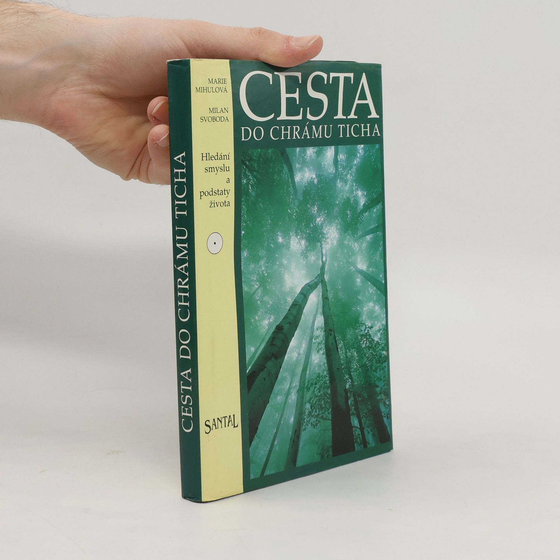 Marie Mihulová Cesta do chrámu ticha: Hledání smyslu a podstaty života