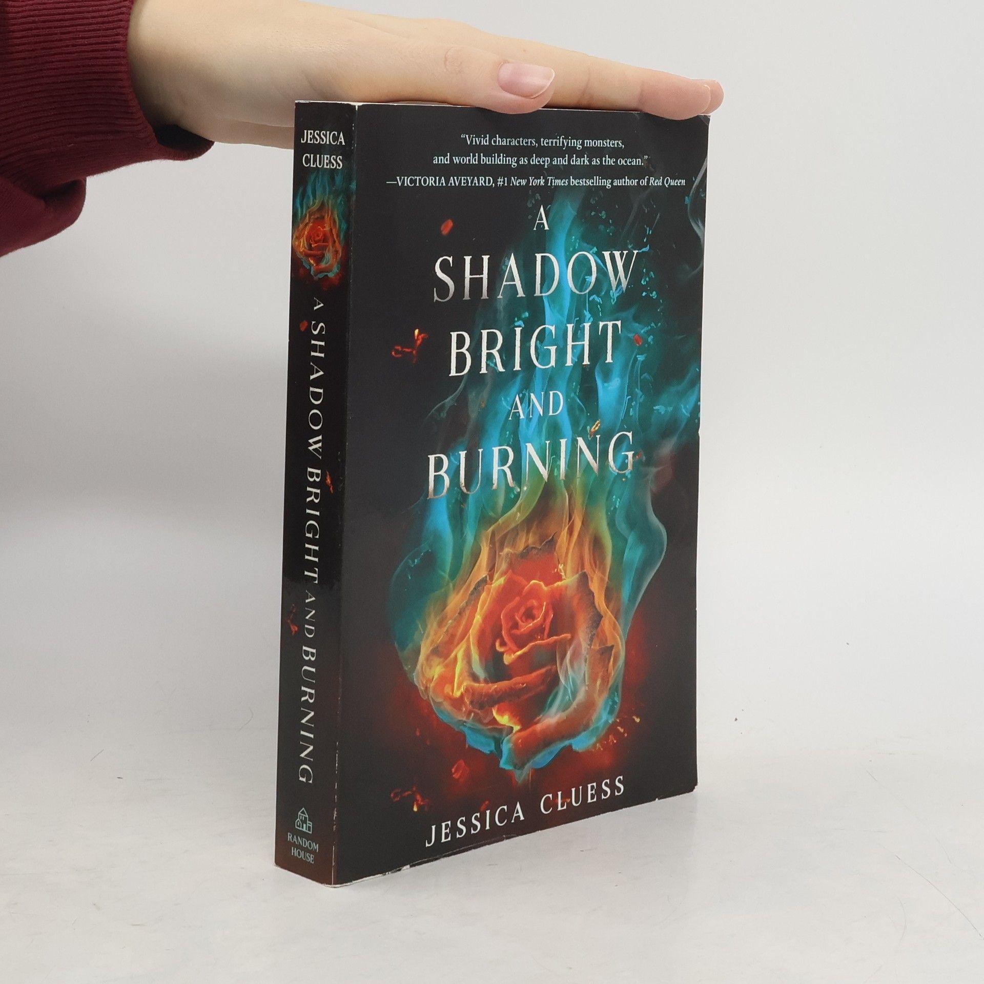 A Shadow Bright and Burning