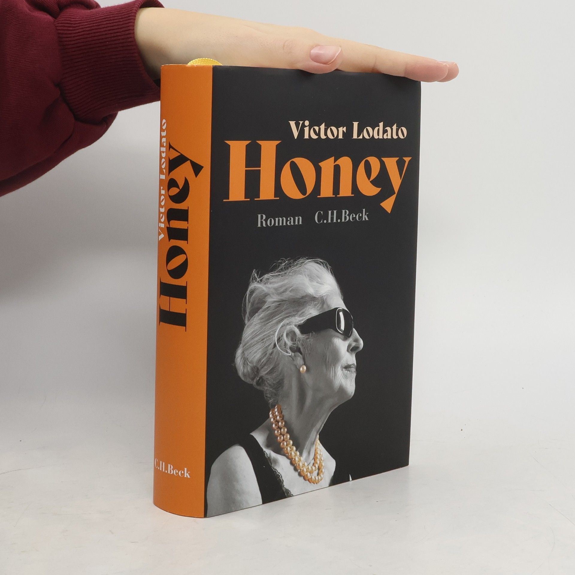 Victor Lodato Honey. Roman
