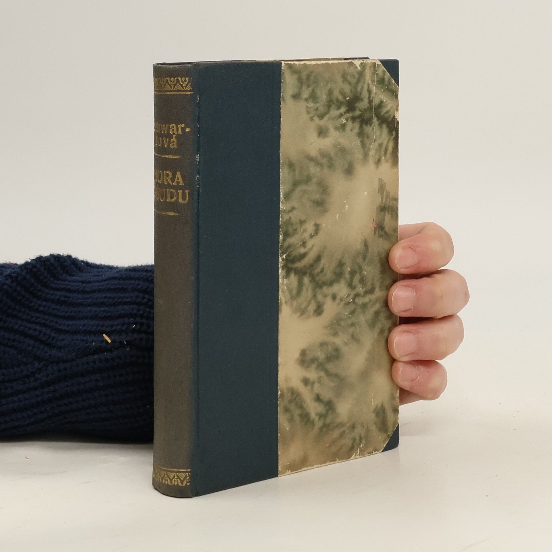 Růžena Schwarzová Hora osudu