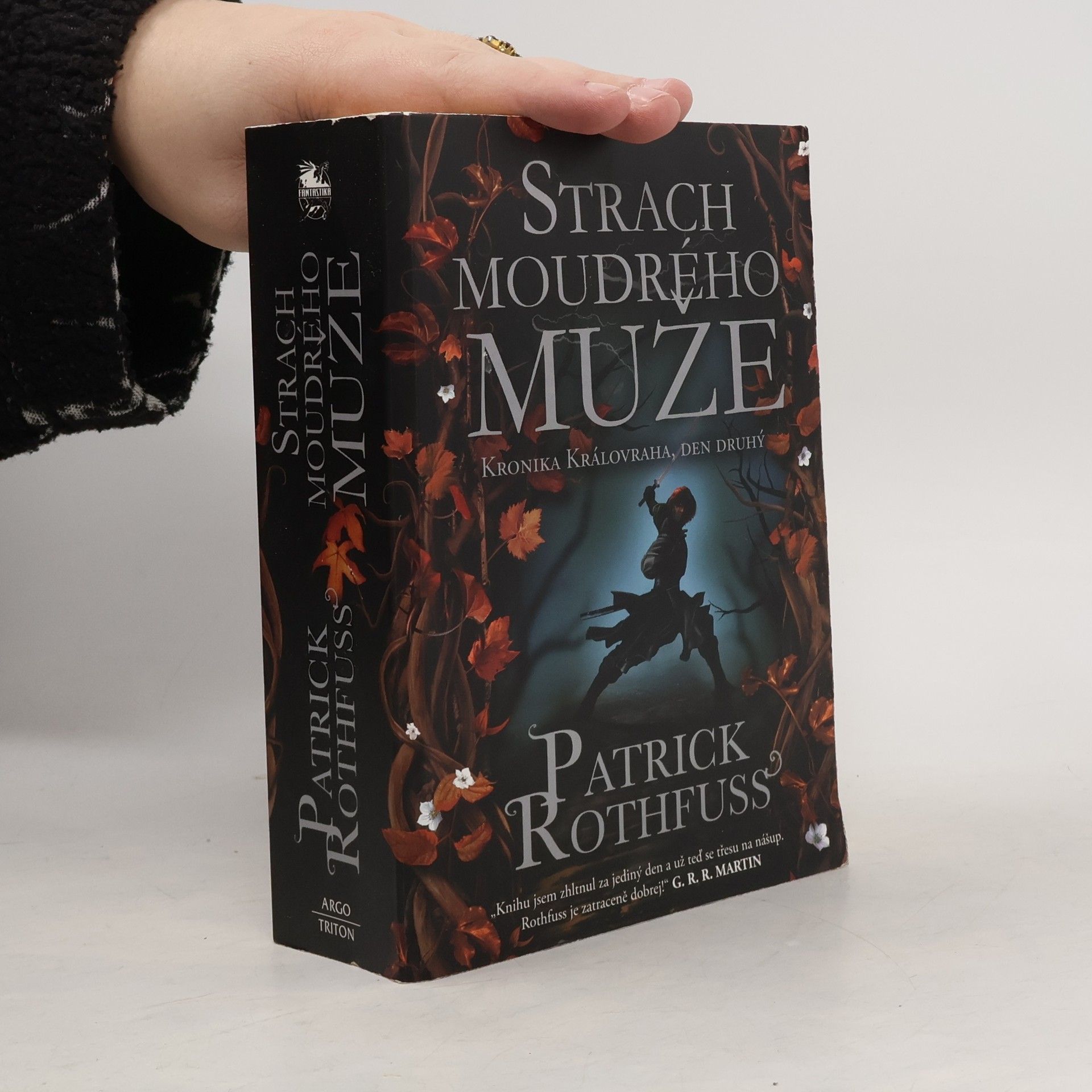 Patrick Rothfuss Strach moudrého muže