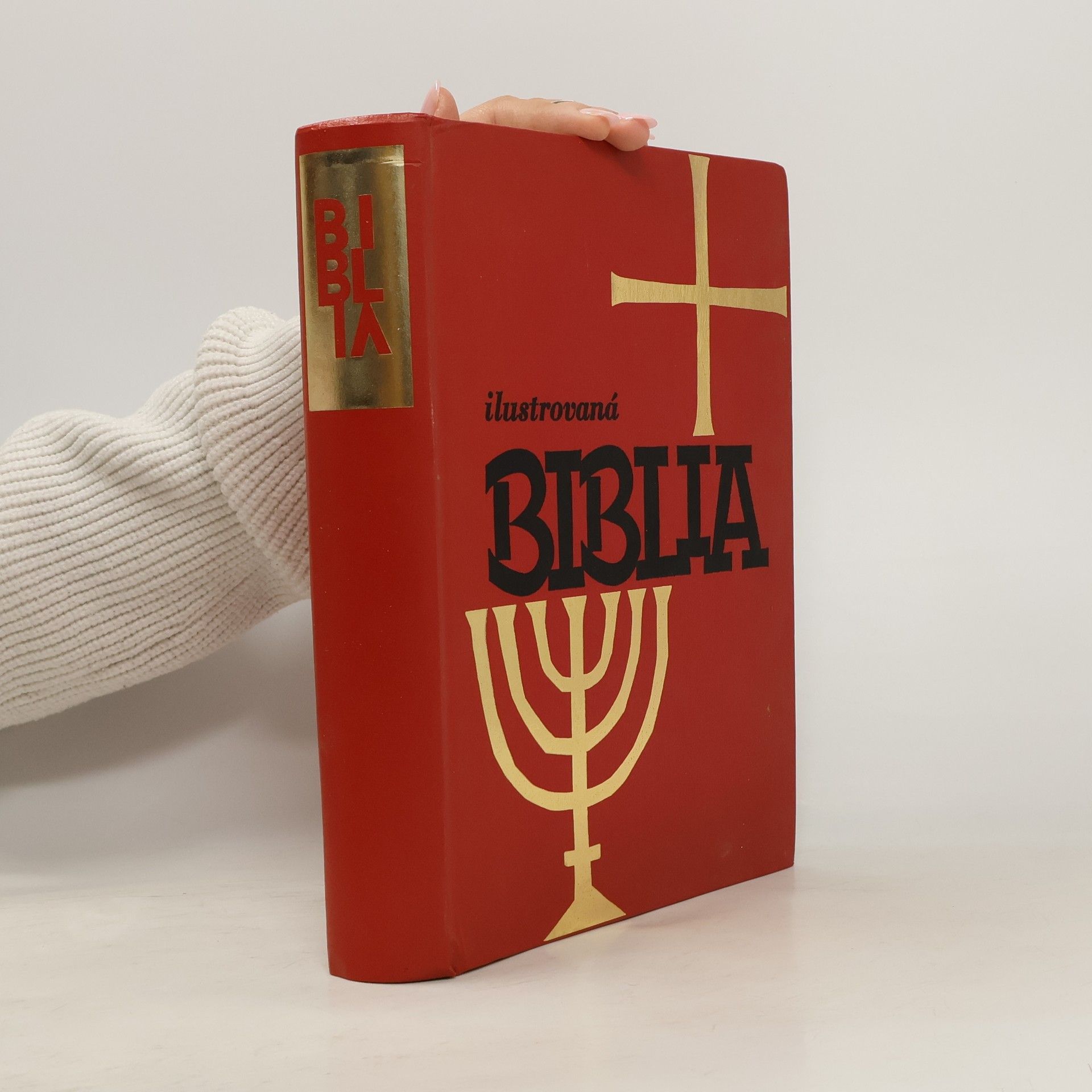 Collectif d'auteurs Ilustrovaná Biblia