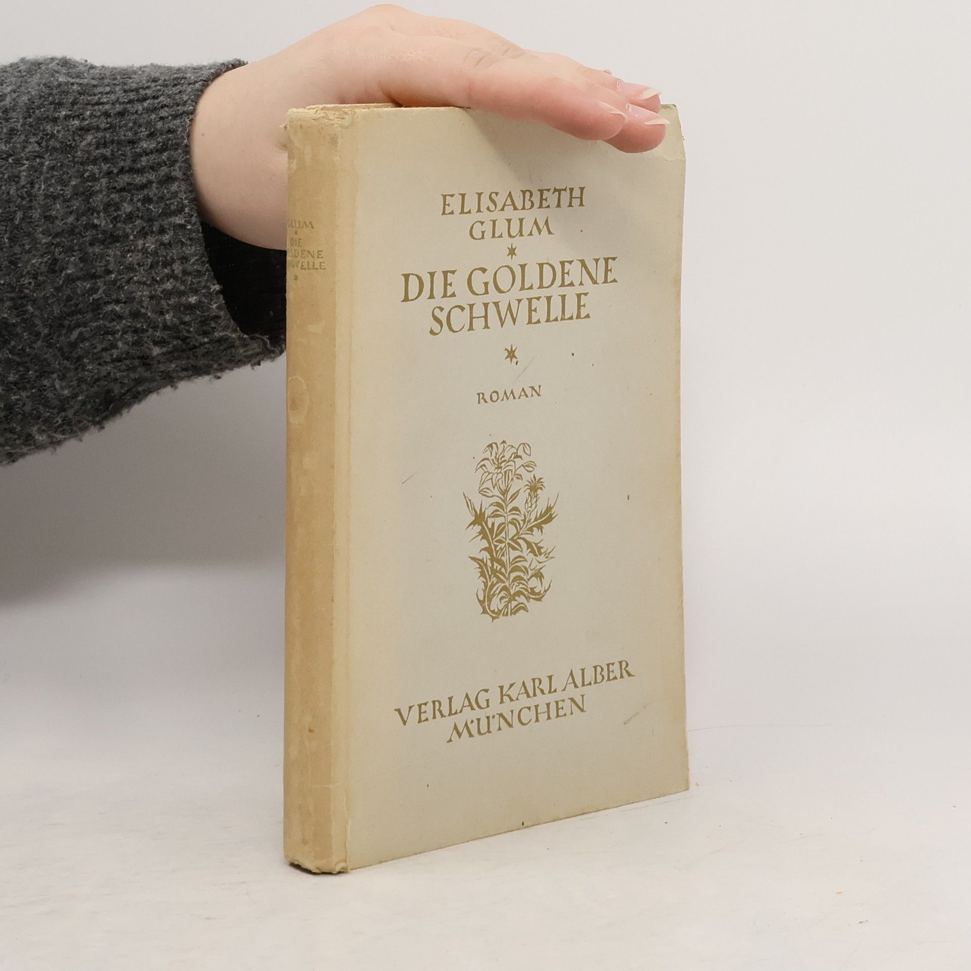 Elisabeth Glum Die goldene Schwelle