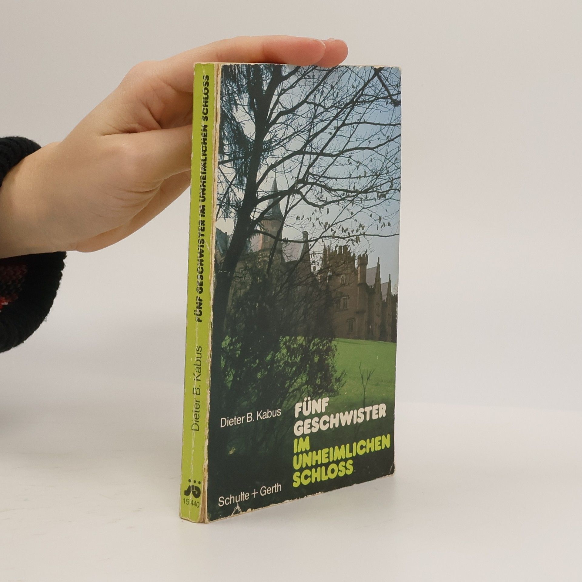 Fünf Geschwister im unheimlichen Schloss