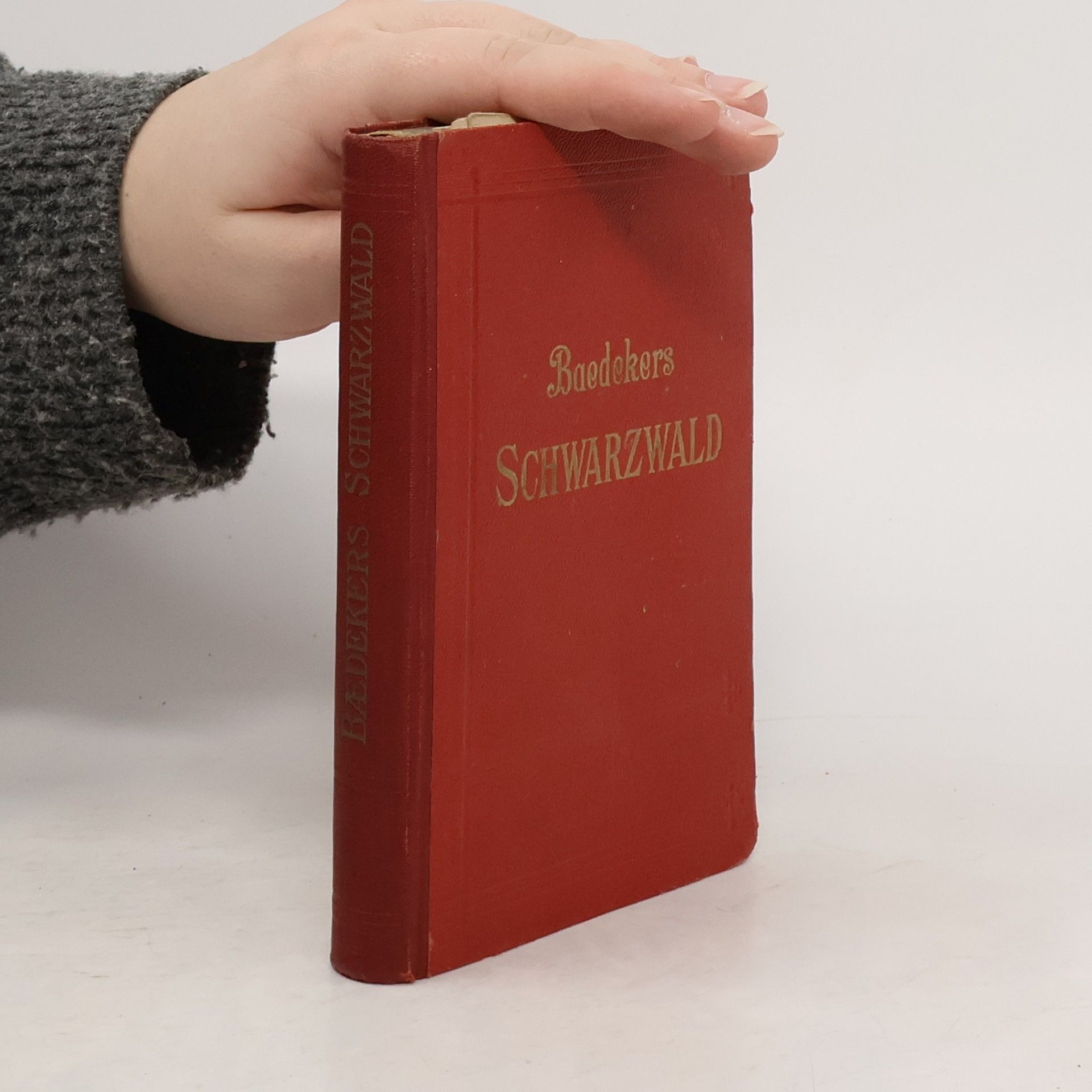 Autorenkollektiv Baedekers Schwarzwald