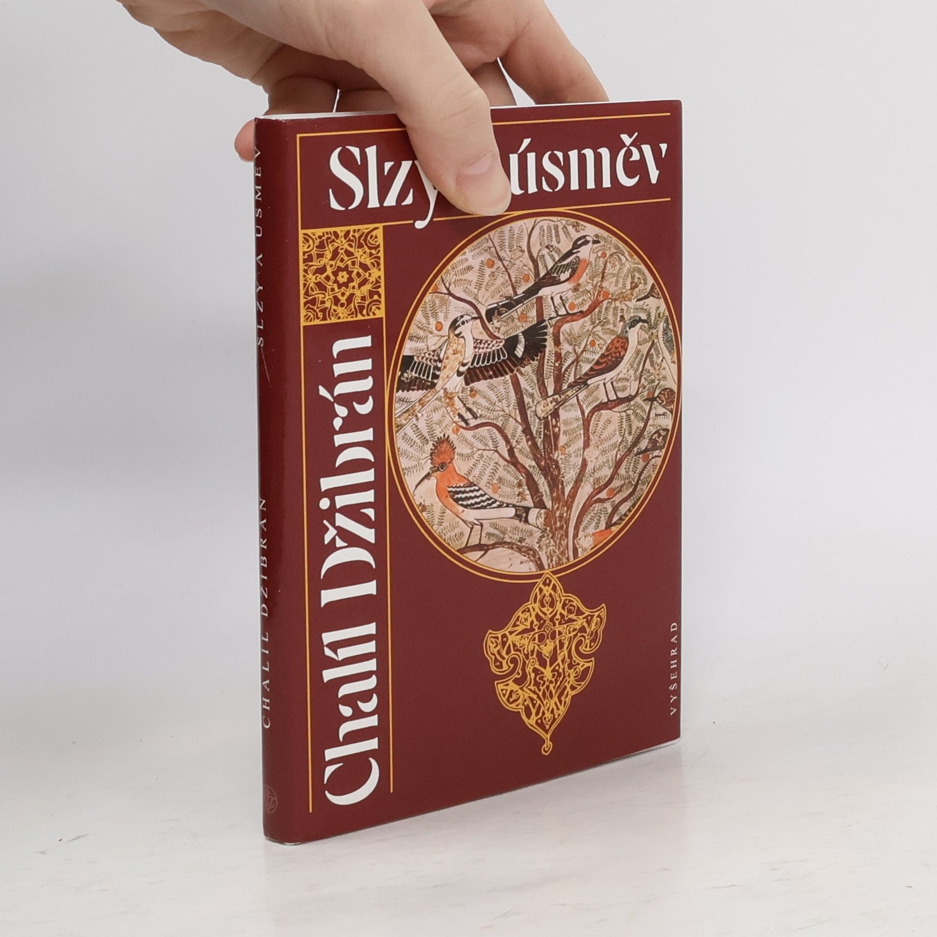 Chalíl Džibrán Slzy a úsměv