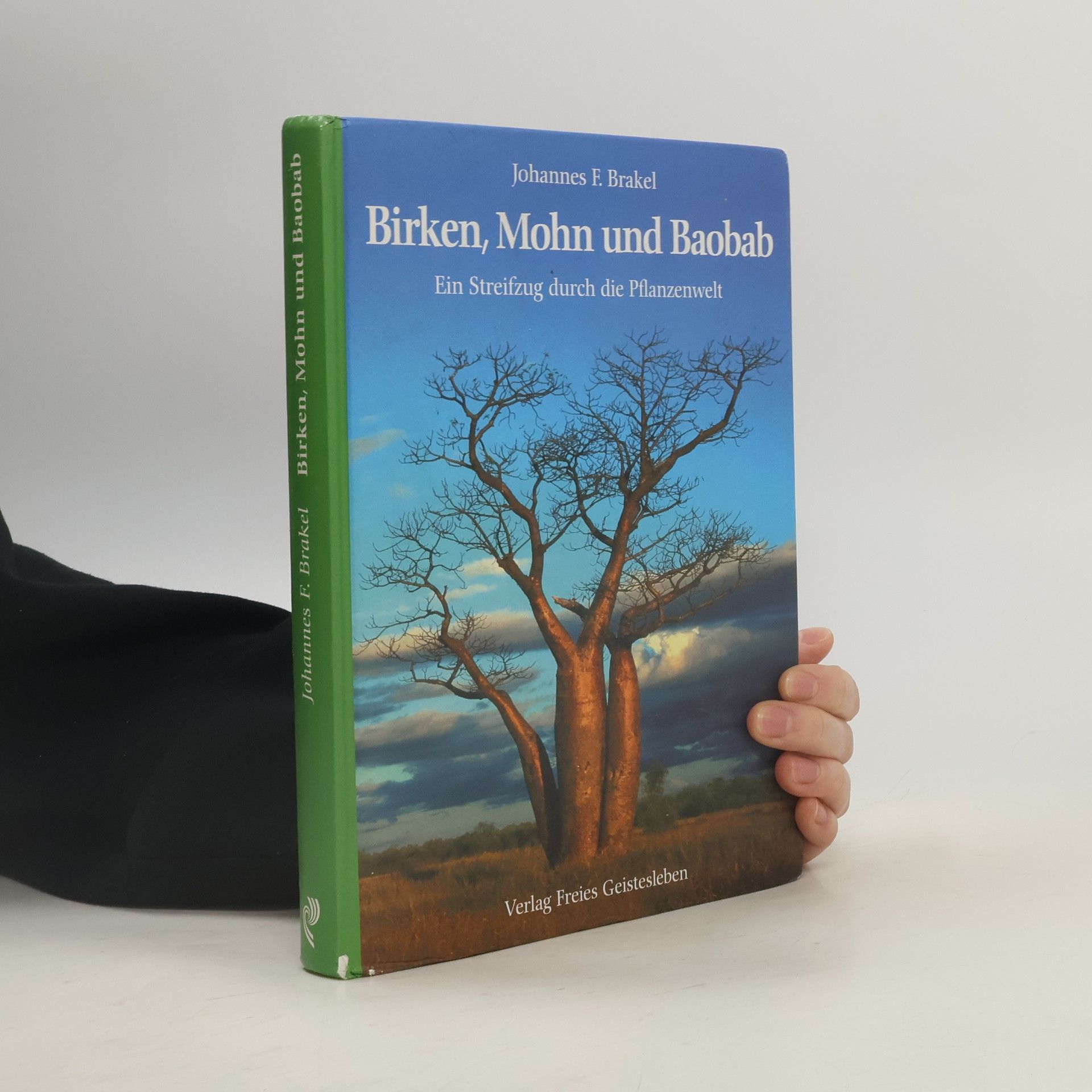 Birken, Mohn und Baobab