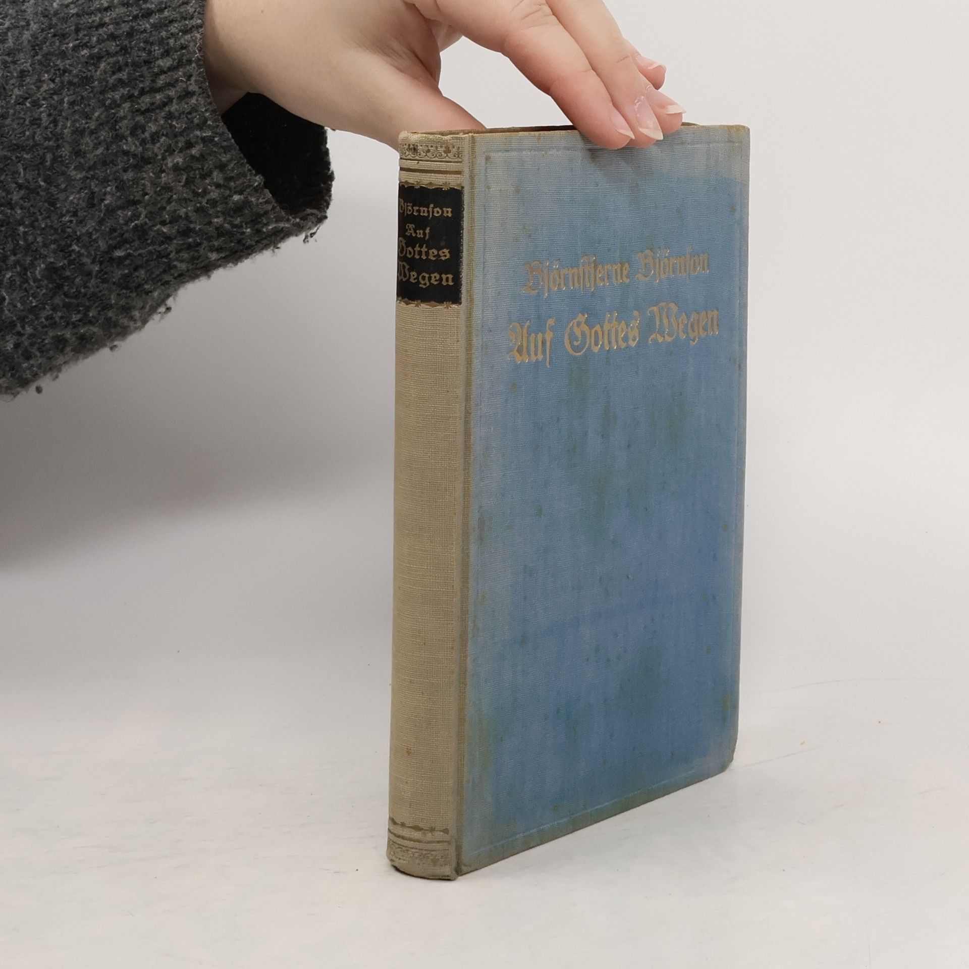 Bjørnstjerne Bjørnson Auf Gottes Wegen