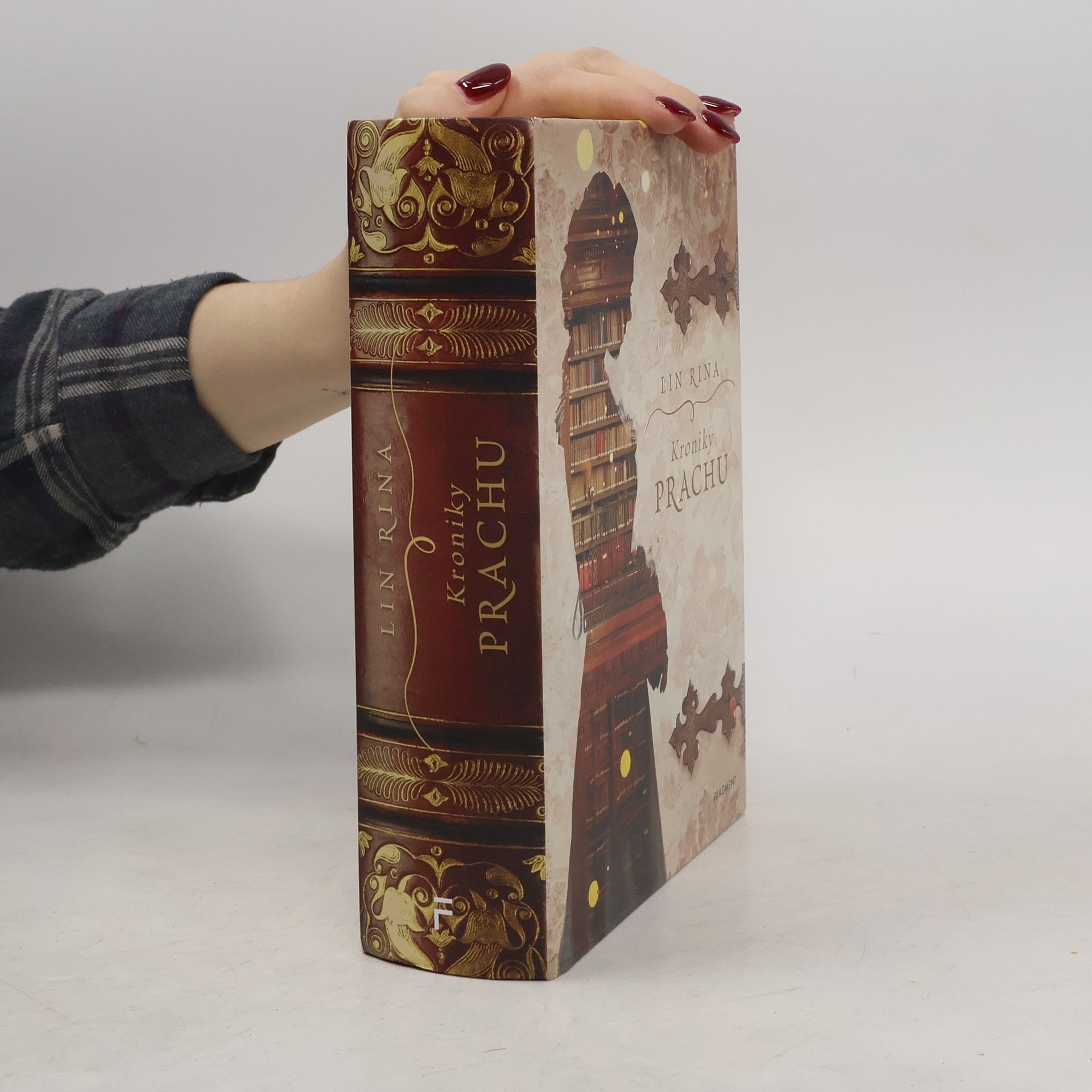 Lin Rina Kroniky prachu