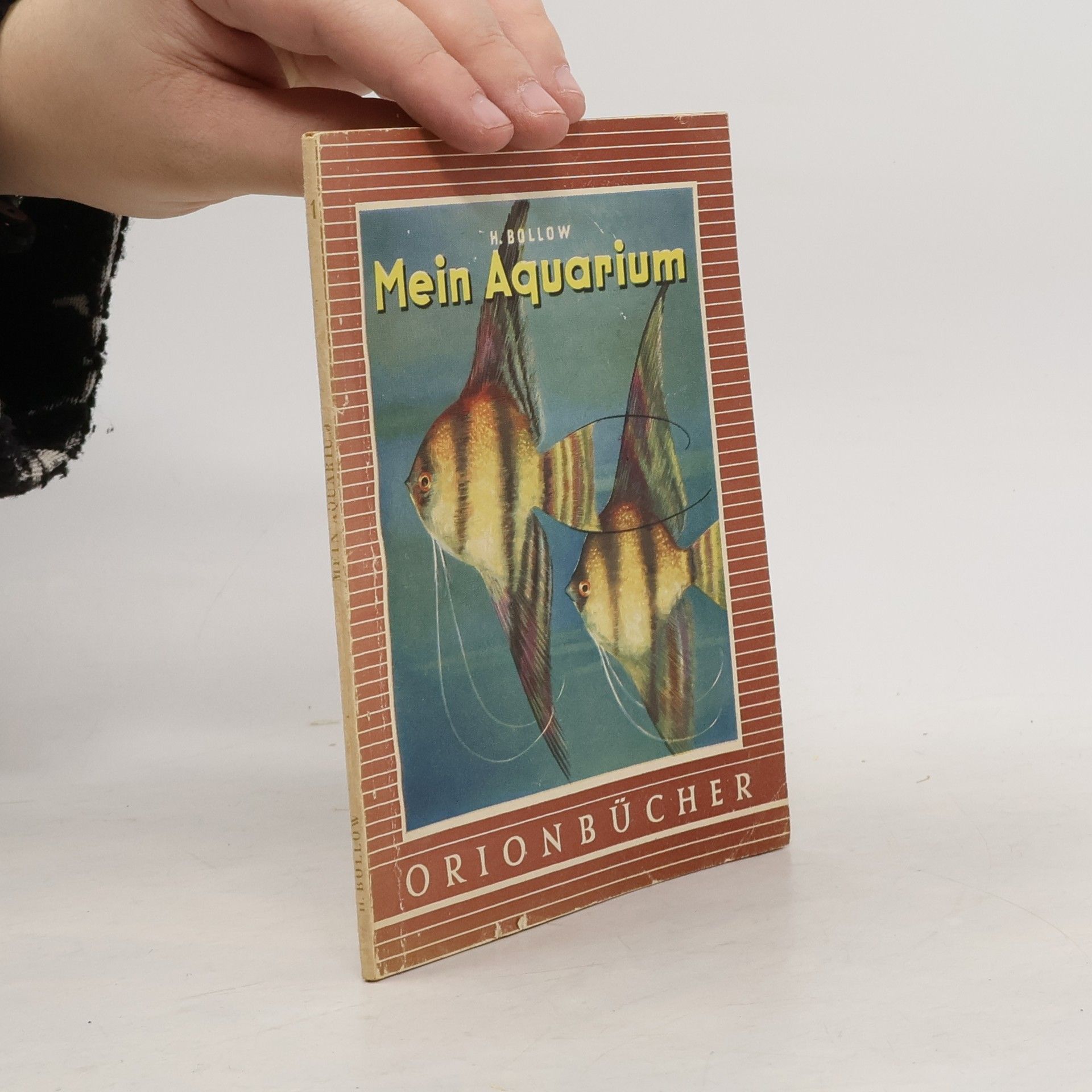 Hermann Bollow Mein Aquarium