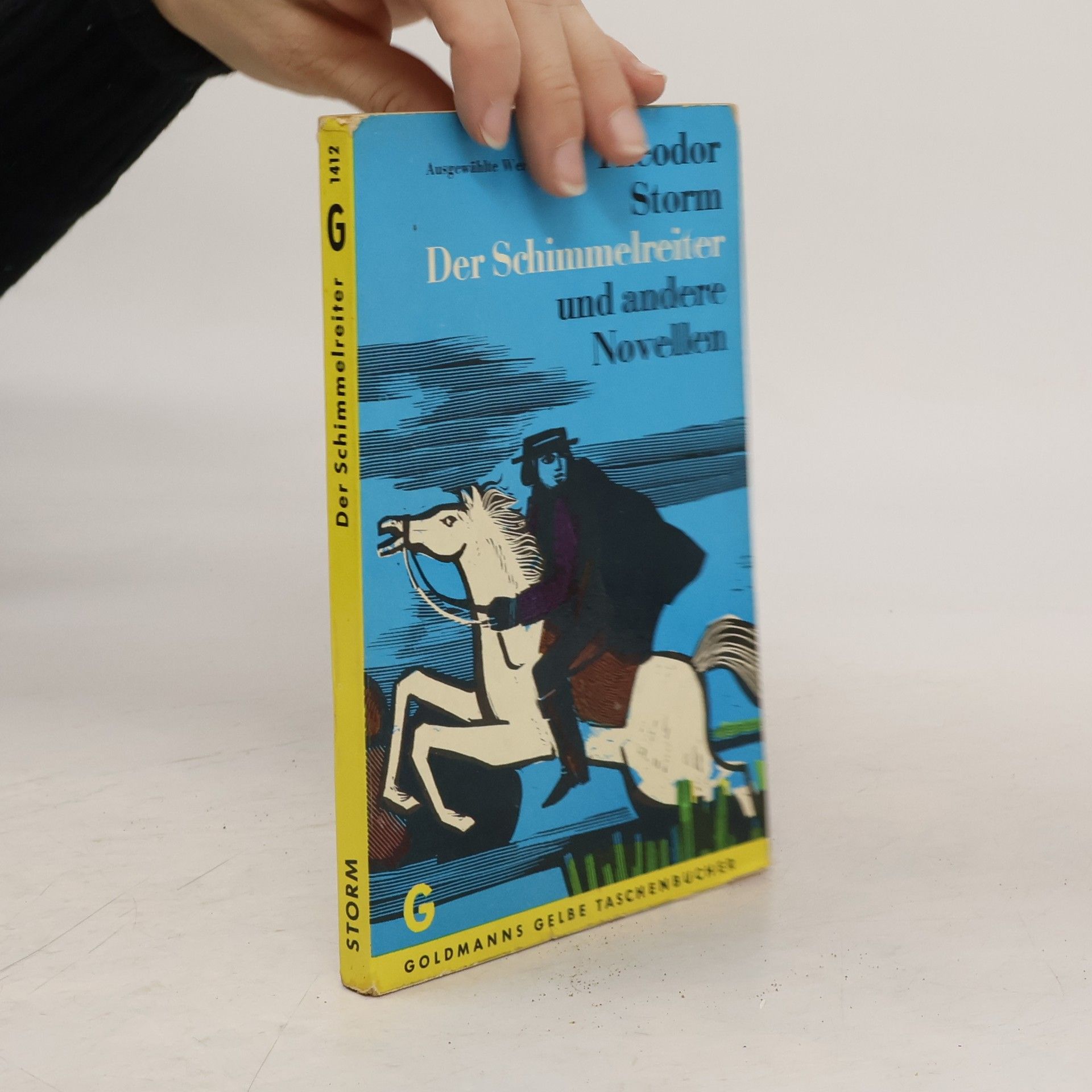 Theodor Storm Der Schimmelreiter. Pole Poppenspäler