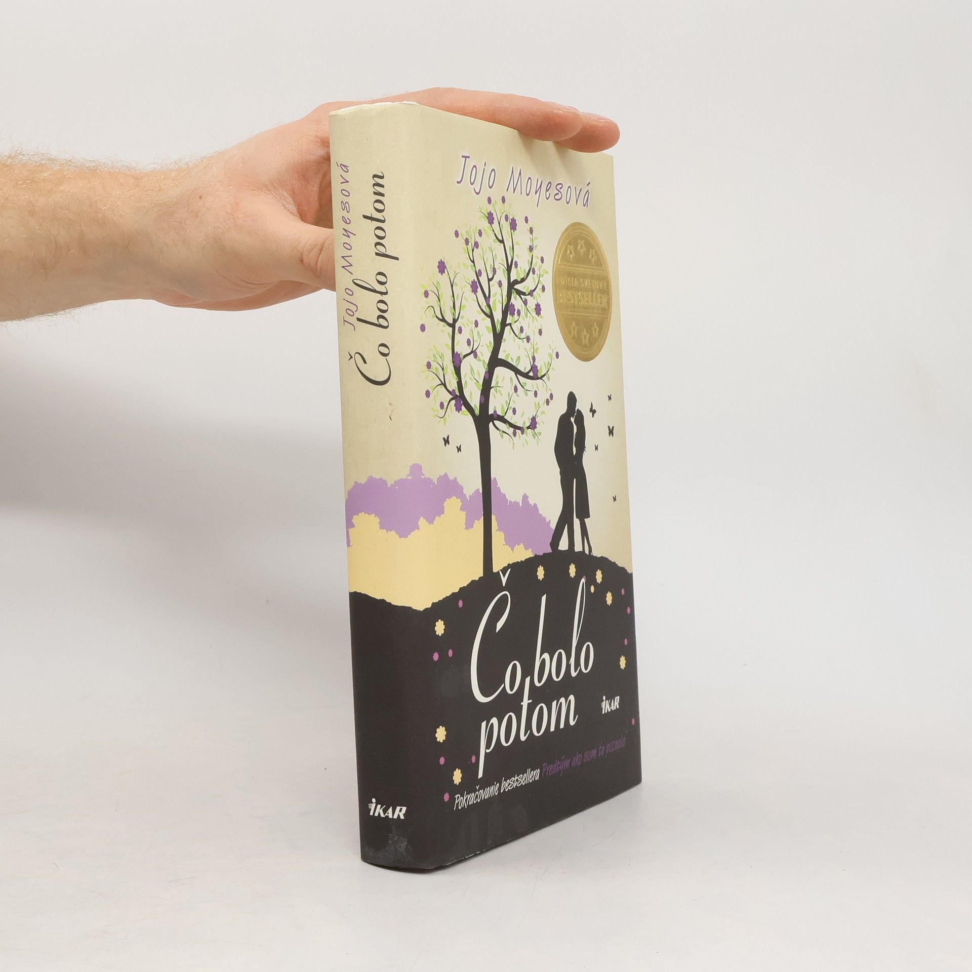 Jojo Moyesová Čo bolo potom