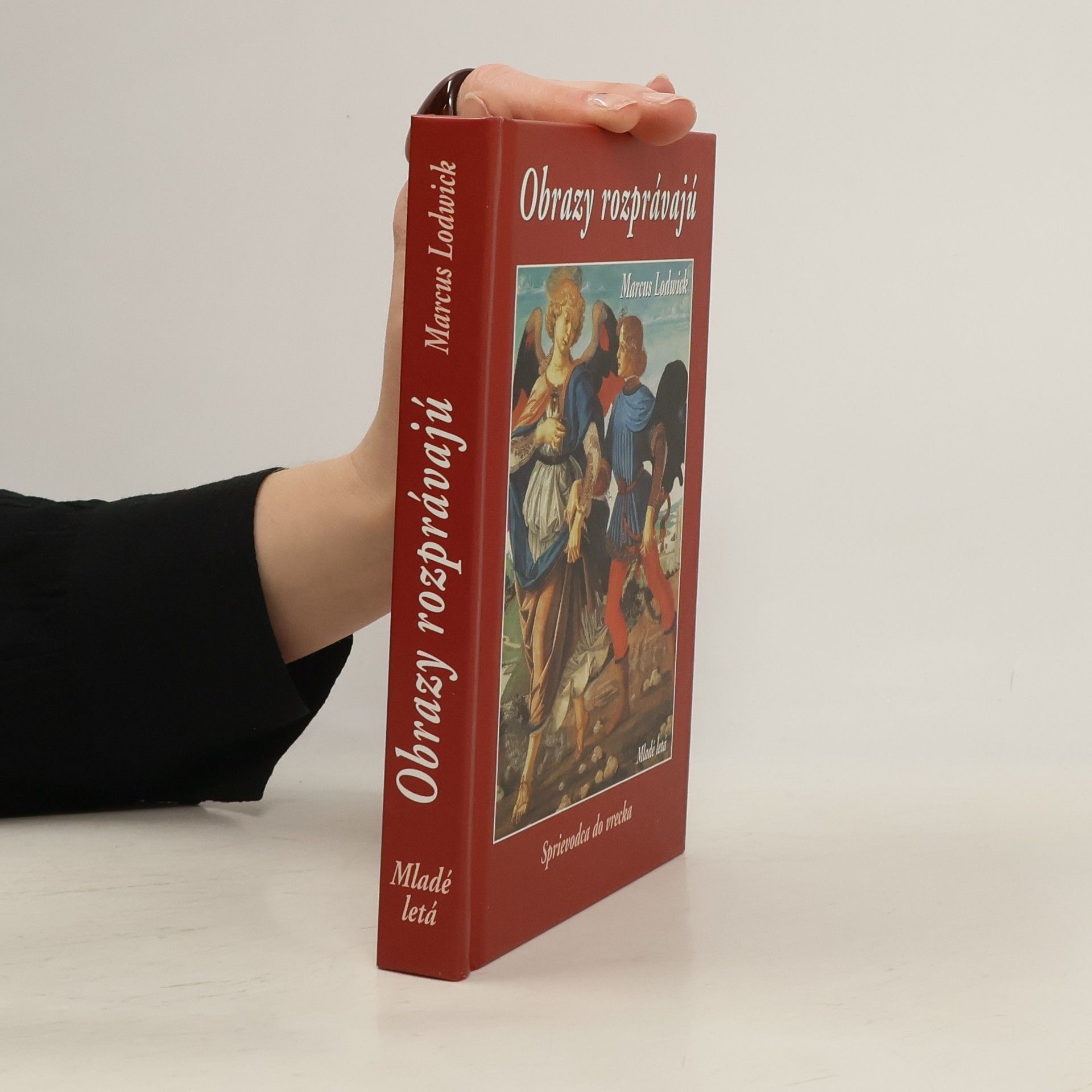 Marcus Lodwick Obrazy rozprávajú : sprievodca do vrecka