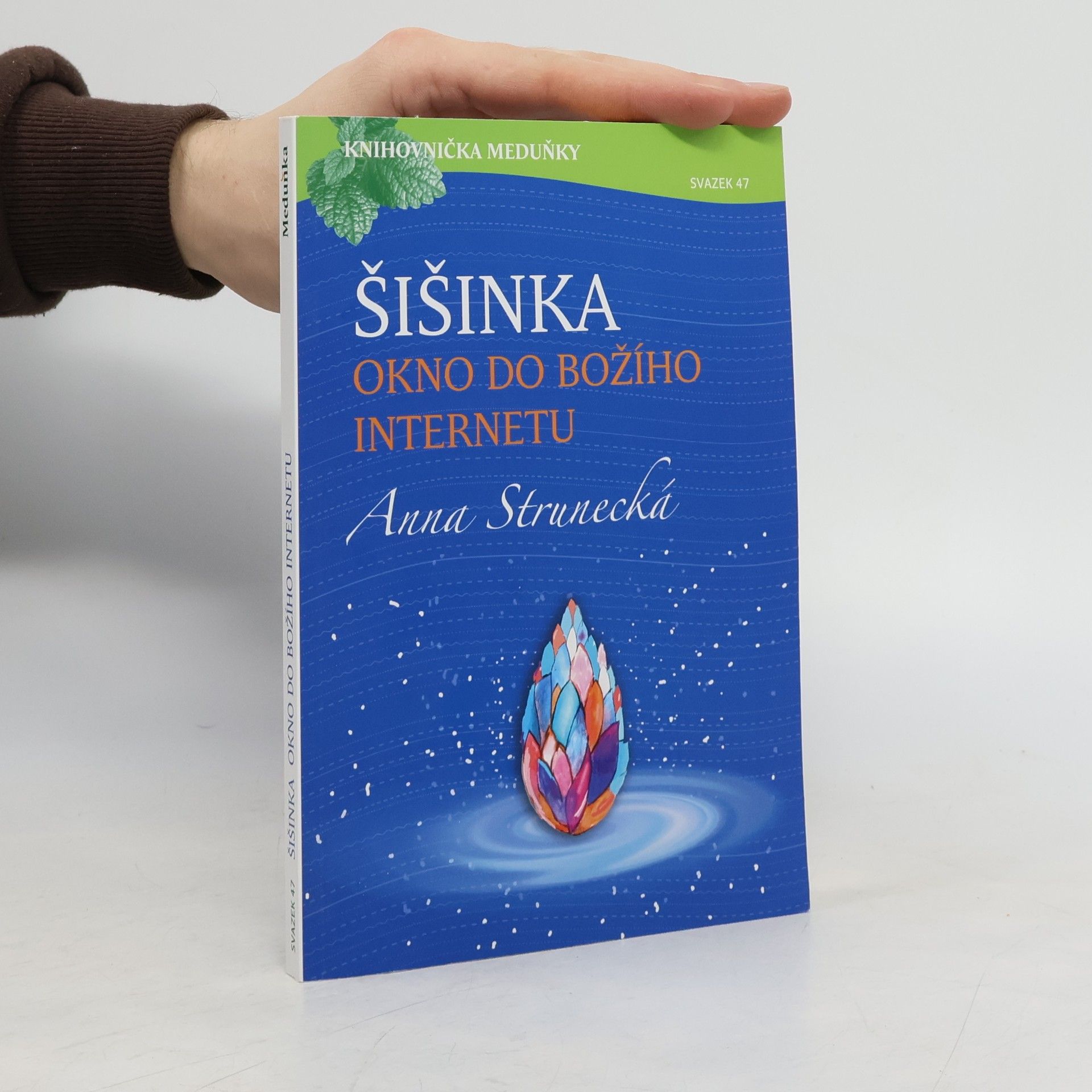 Šišinka: Okno do božího internetu