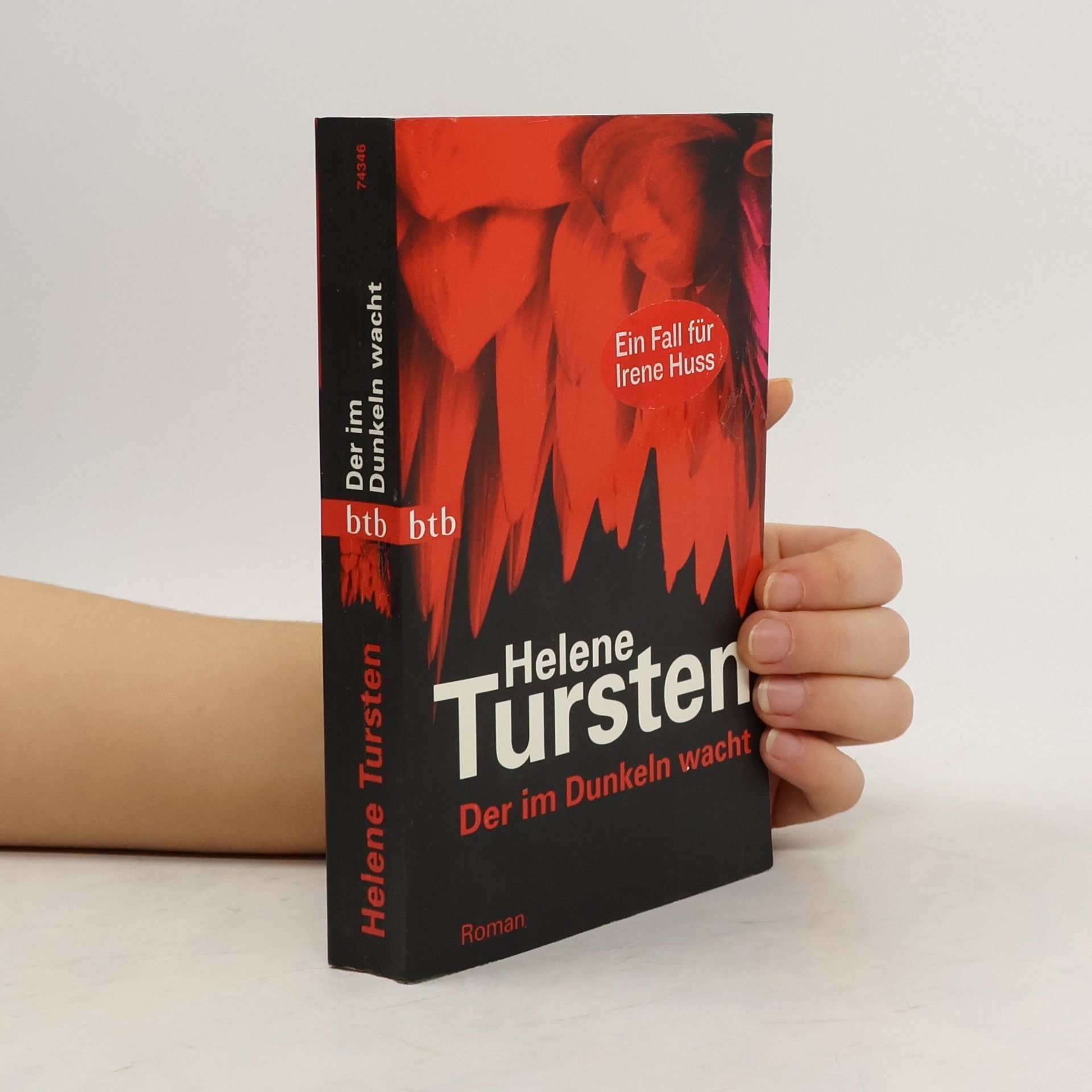 Helene Tursten Der im Dunkeln wacht