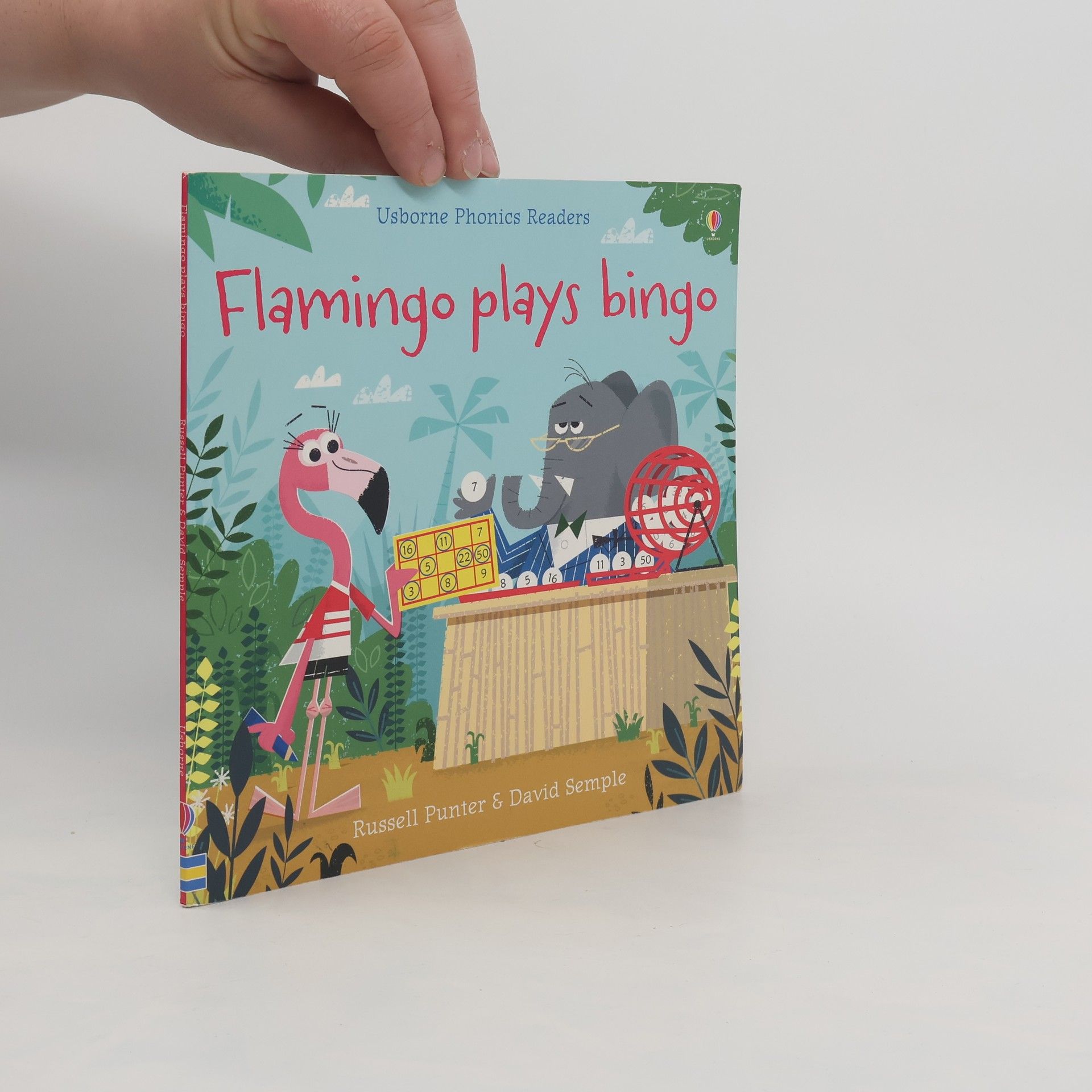 Russell Punter Usborne Phonics Readers: Flamingo Plays Bingo