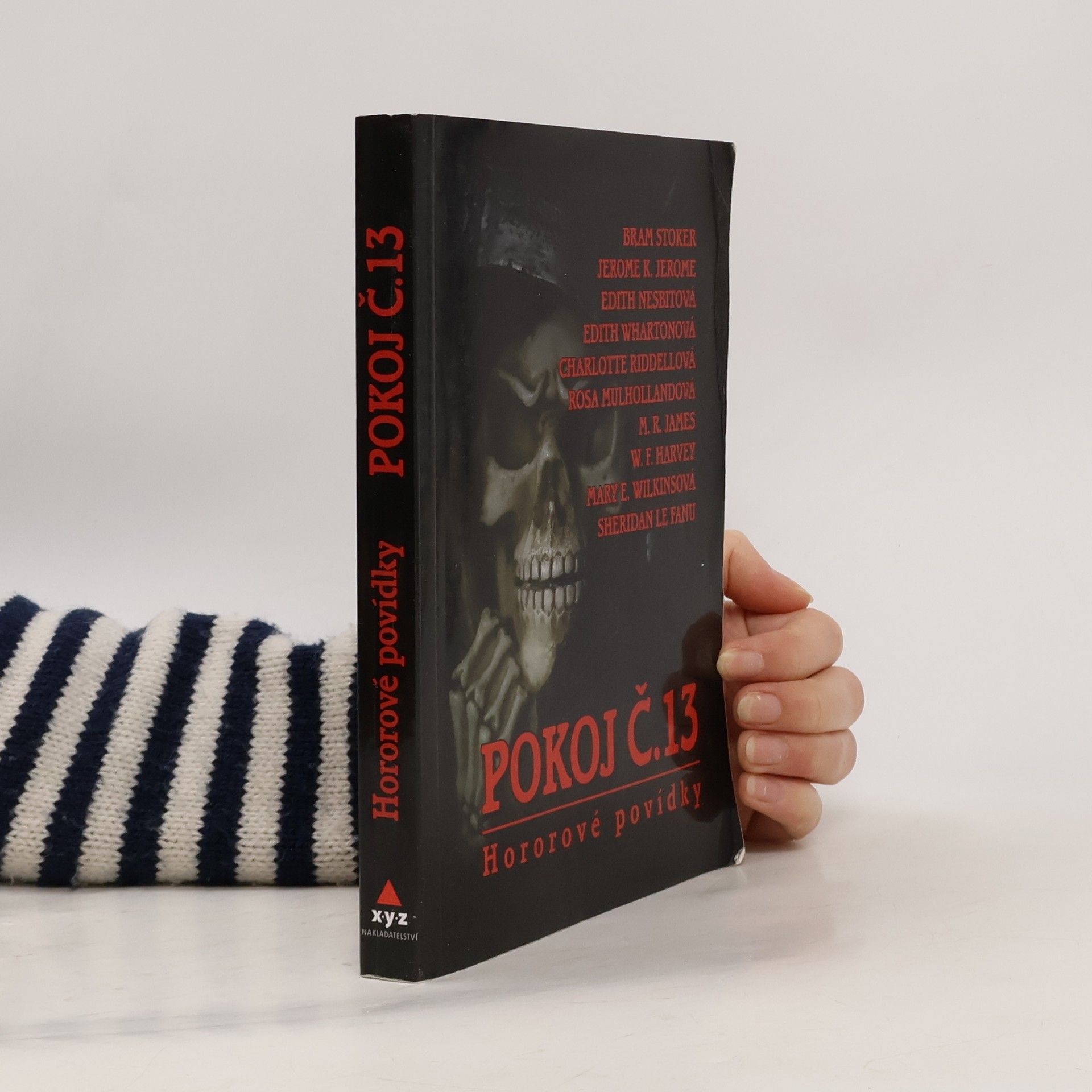 Pokoj č. 13 : hororové povídky