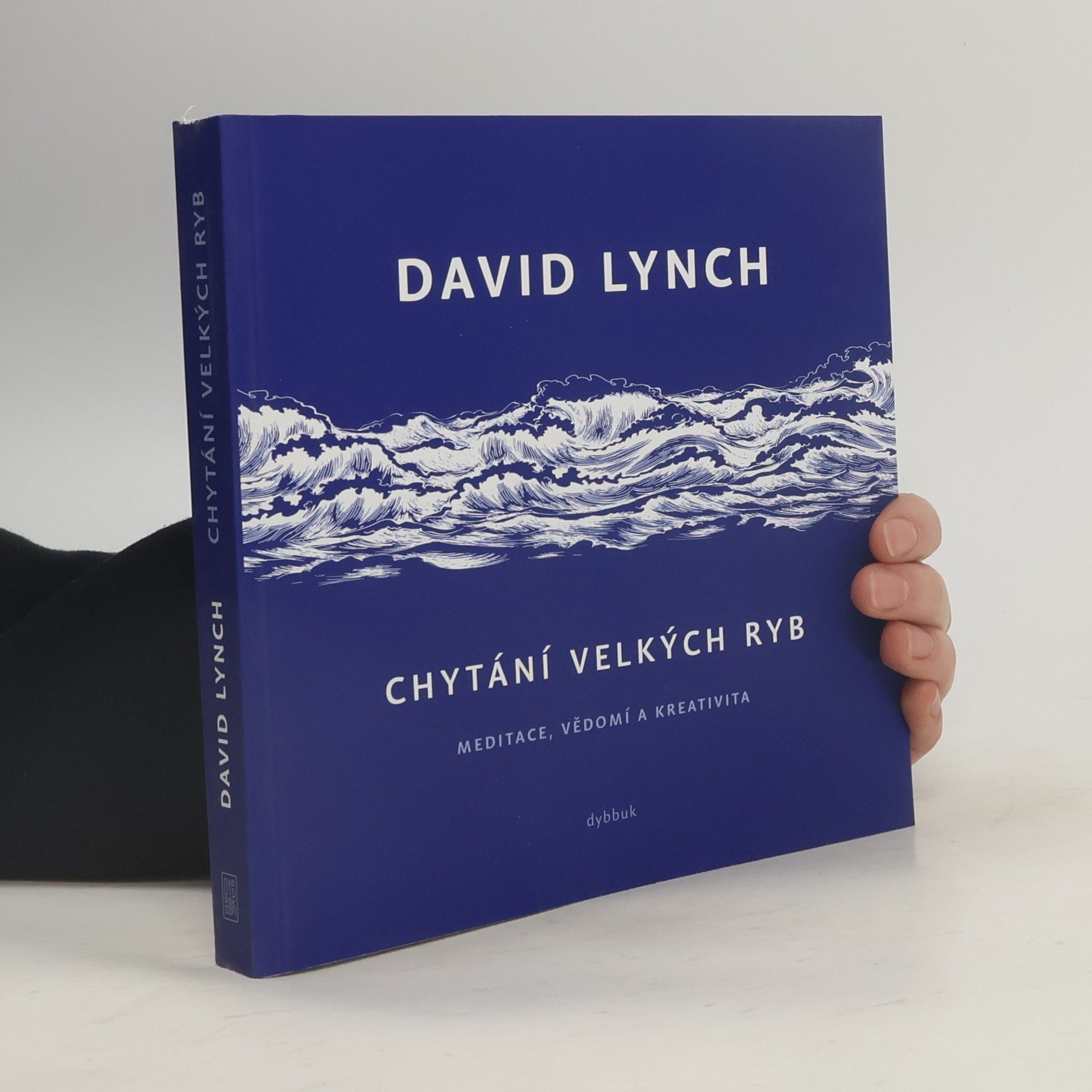 David Lynch Chytání velkých ryb