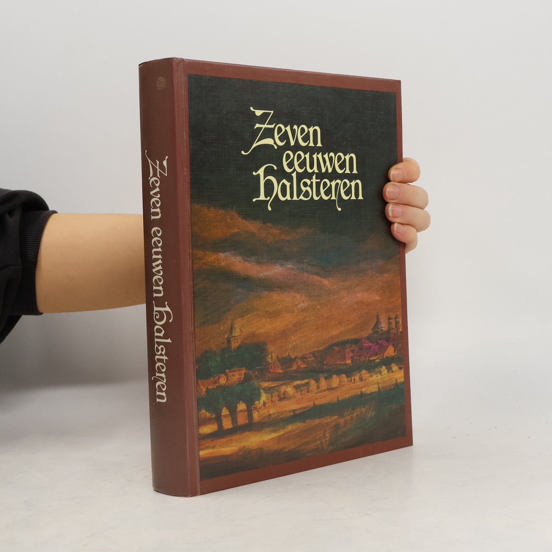 Albert  Delaheaye  Zeven eeuwen halsteren