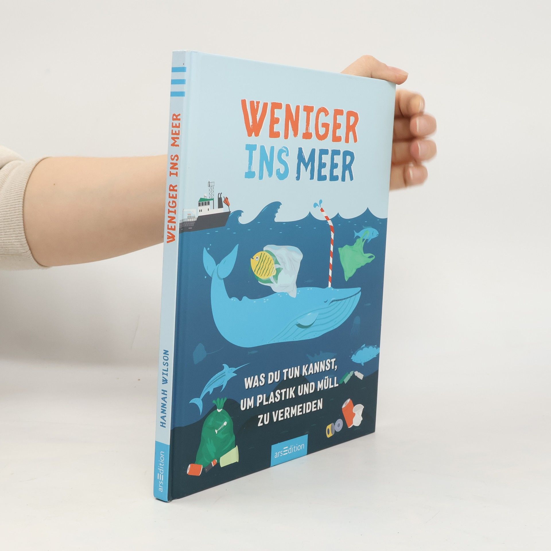 Hannah Wilson Weniger ins Meer