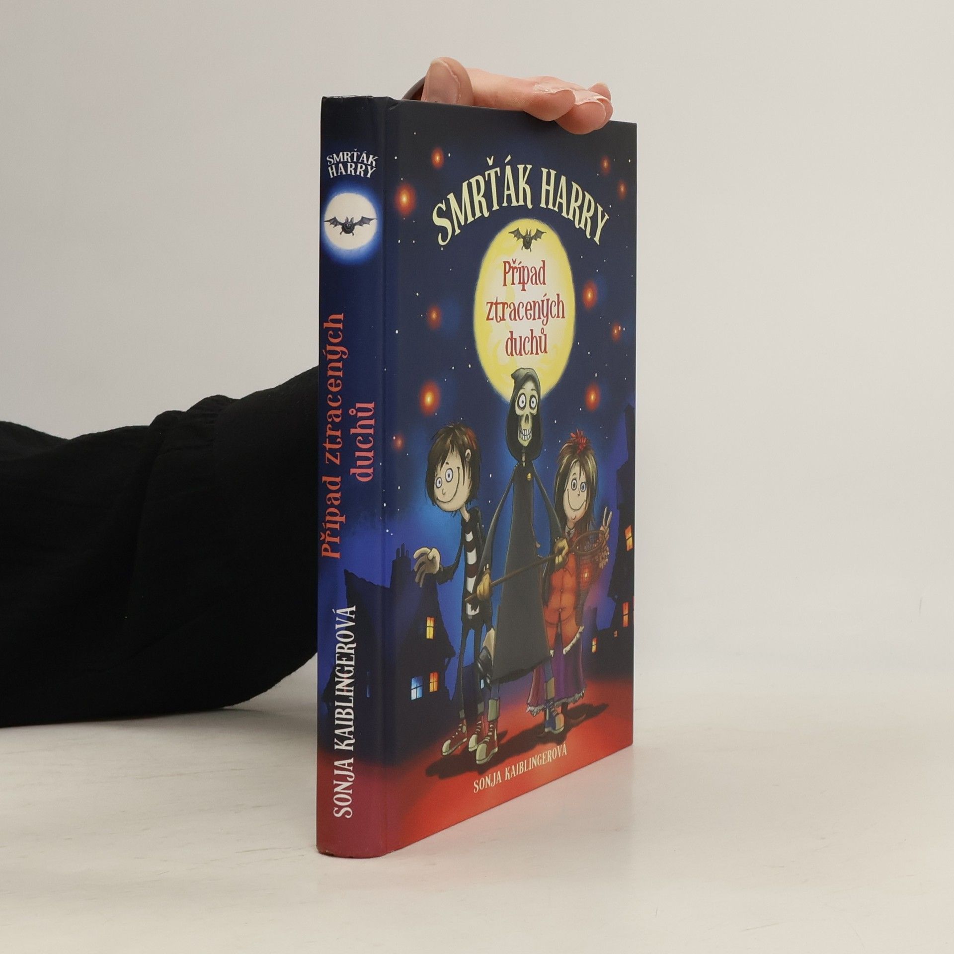 Smrťák Harry. 1. díl, Případ ztracených duchů