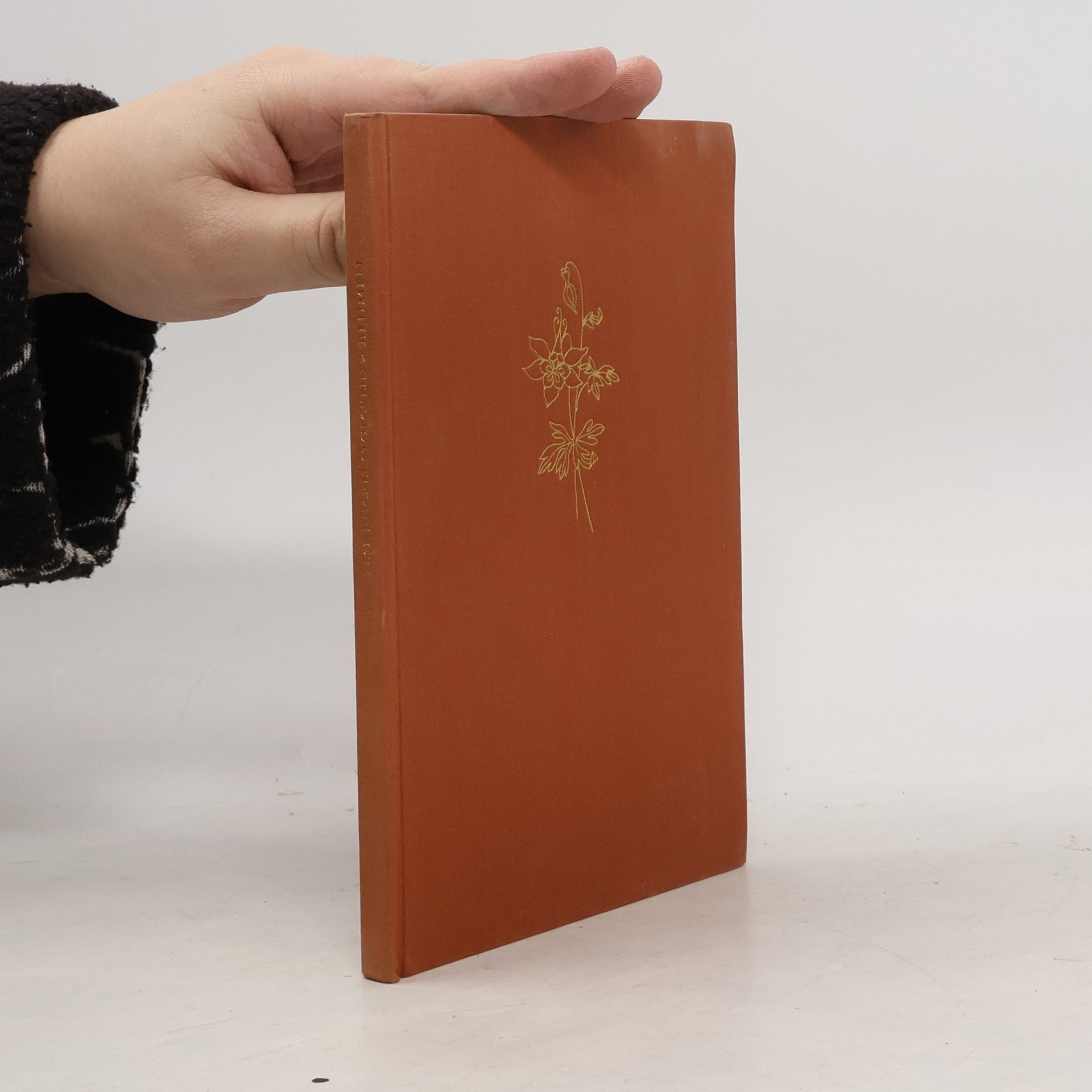 Else Ruckli-Stoecklin Blumen immer und überall