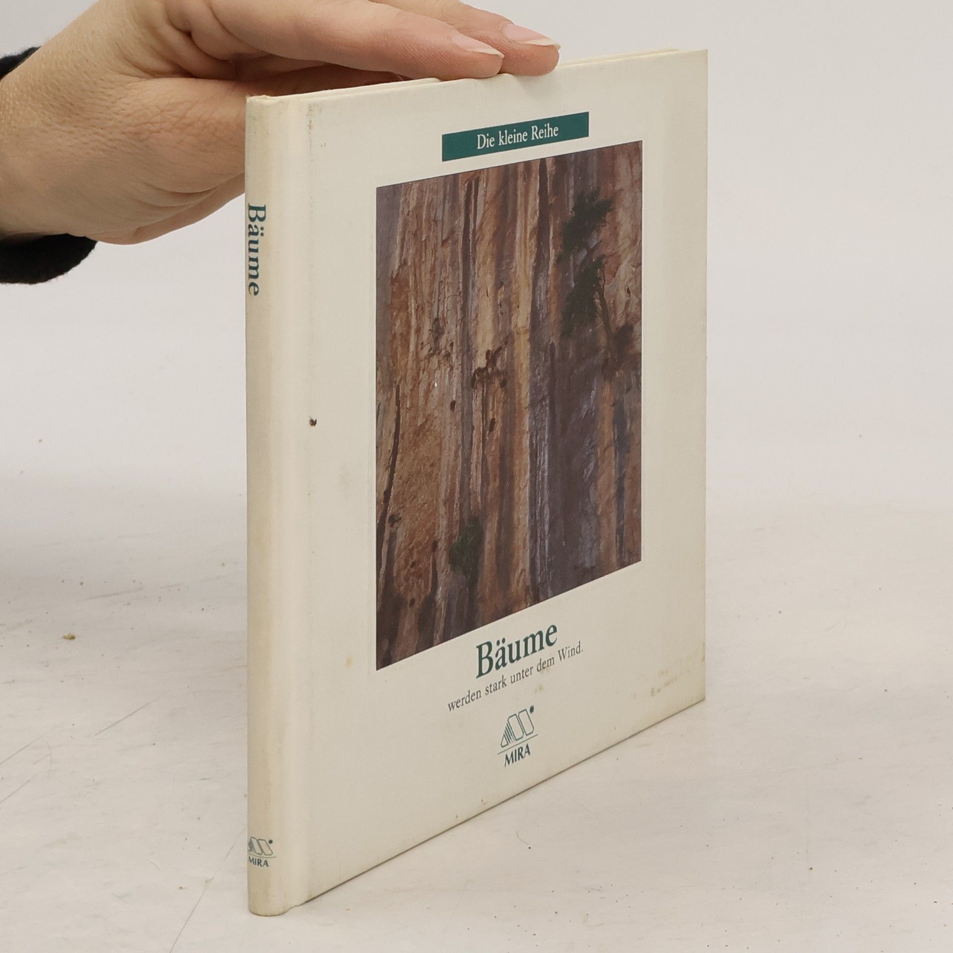 Autorenkollektiv Bäume werden stark unter dem Wind