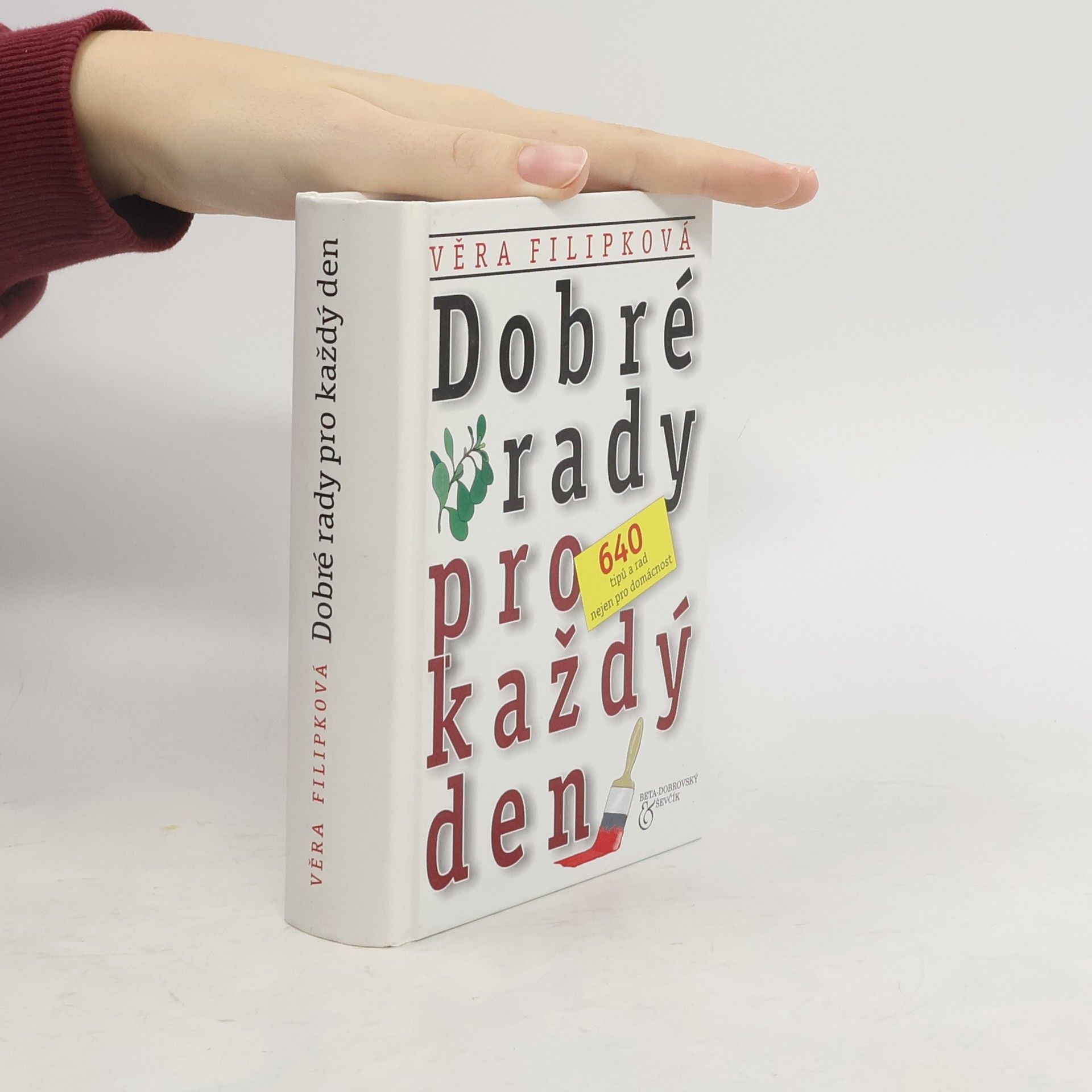 Věra Filipková Dobré rady pro každý den: 640 tipů a rad nejen pro domácnost