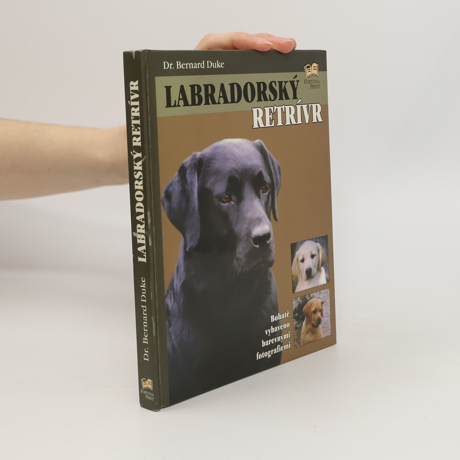 Bernard Duke Labradorský retrívr