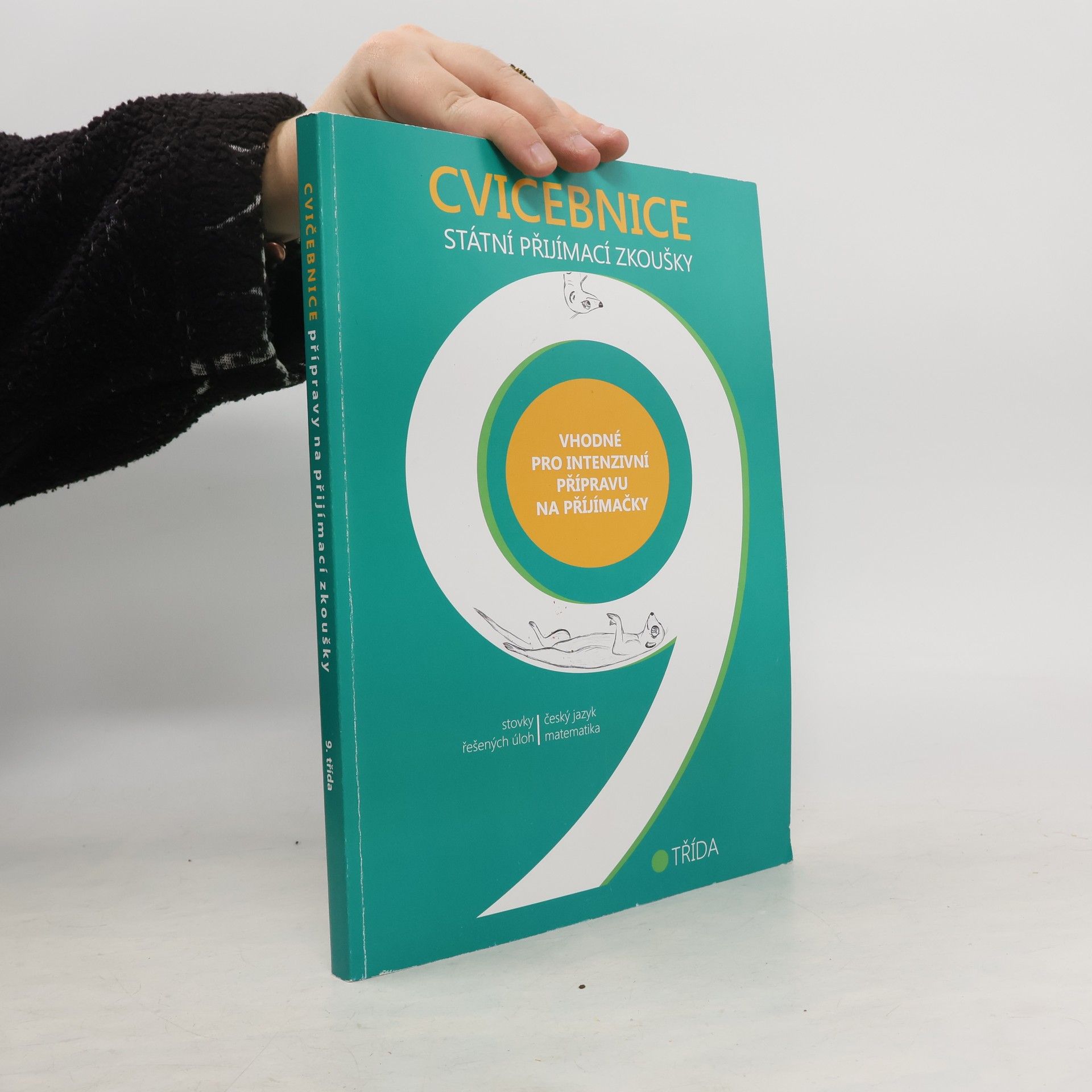 Kolektív autorov Cvičebnice 9 - státní přijímací zkoušky