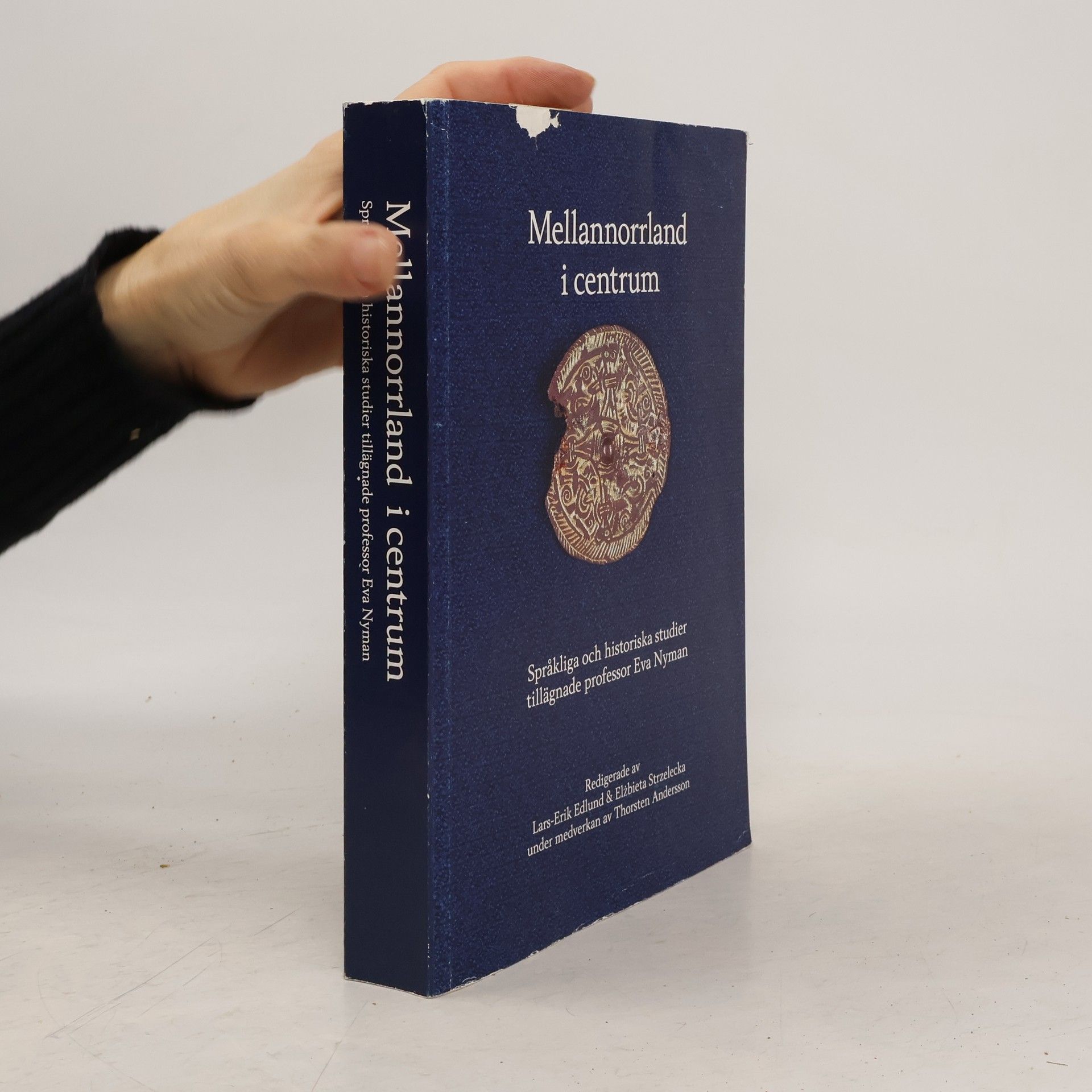 Mellannorrland i centrum