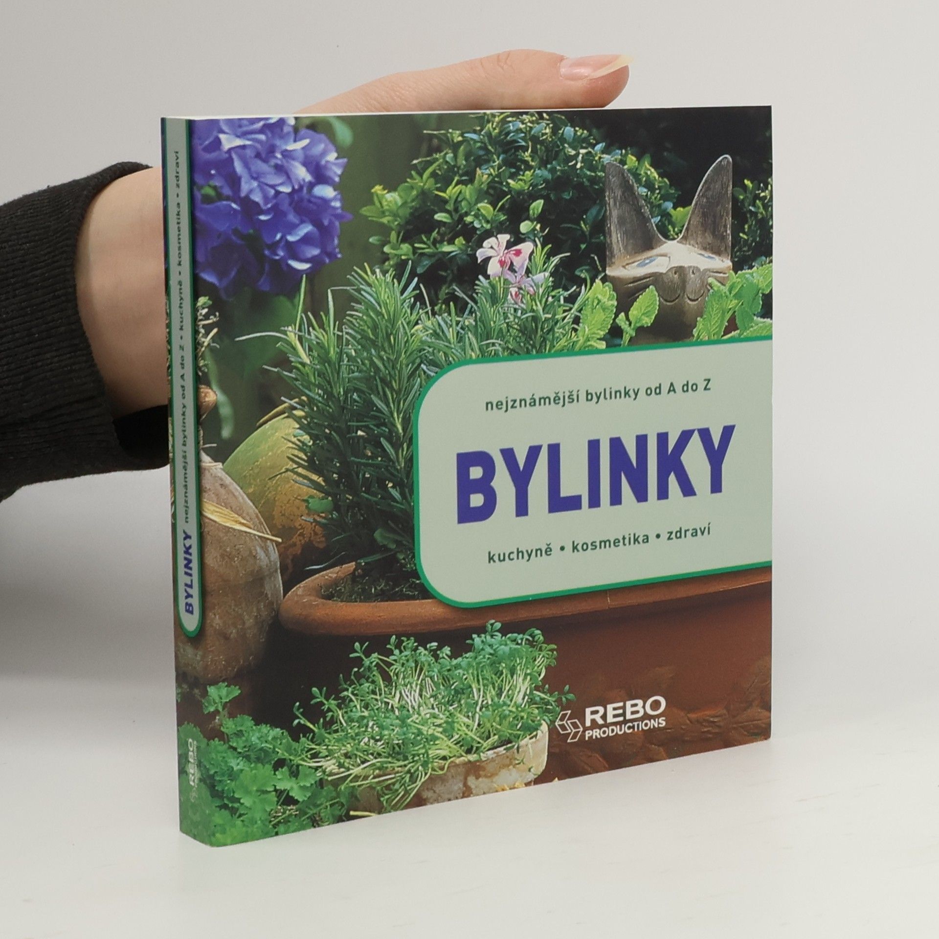 Andrea Rausch Bylinky. Nejznámější bylinky od A do Z. Kuchyně, kosmetika, zdraví