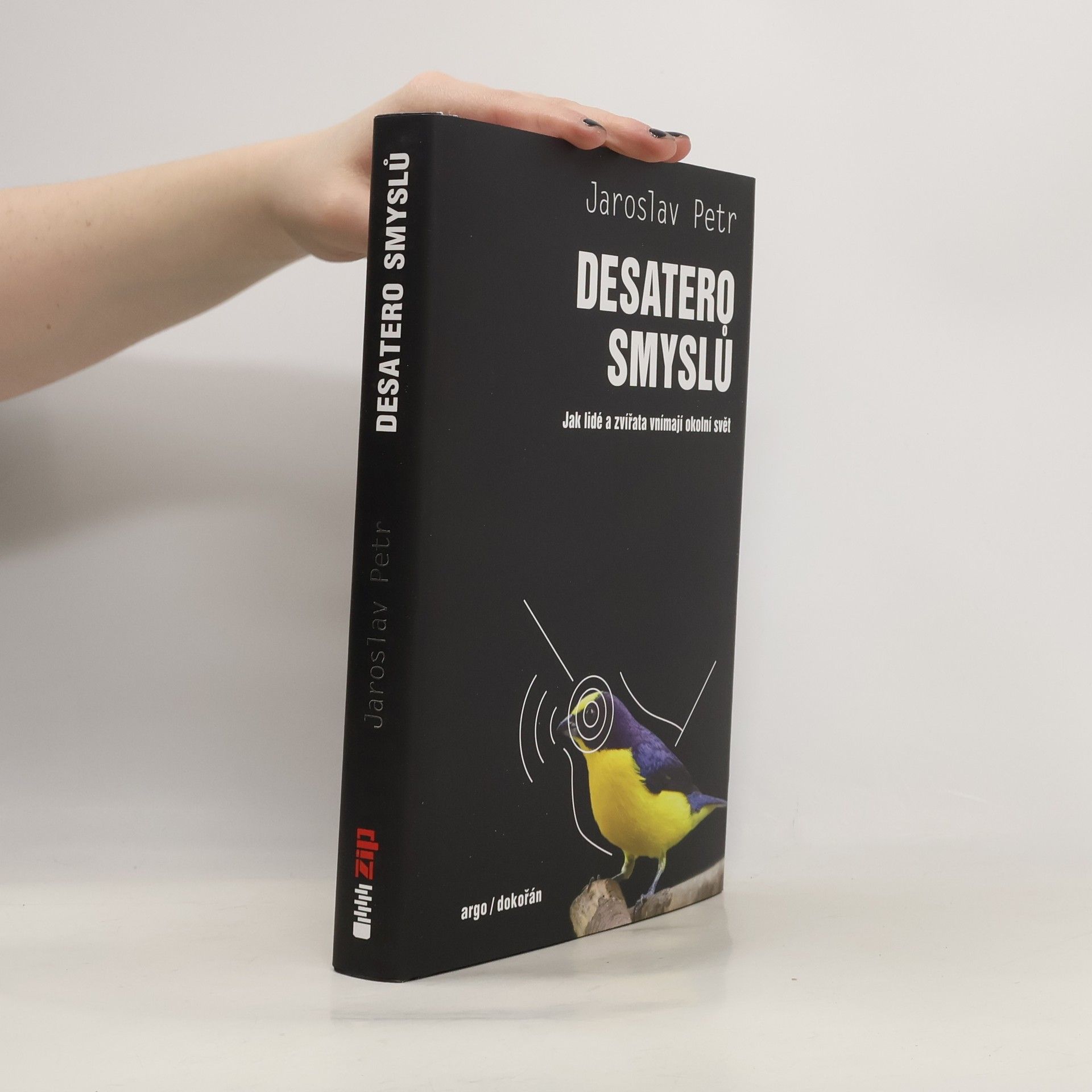 Desatero smyslů