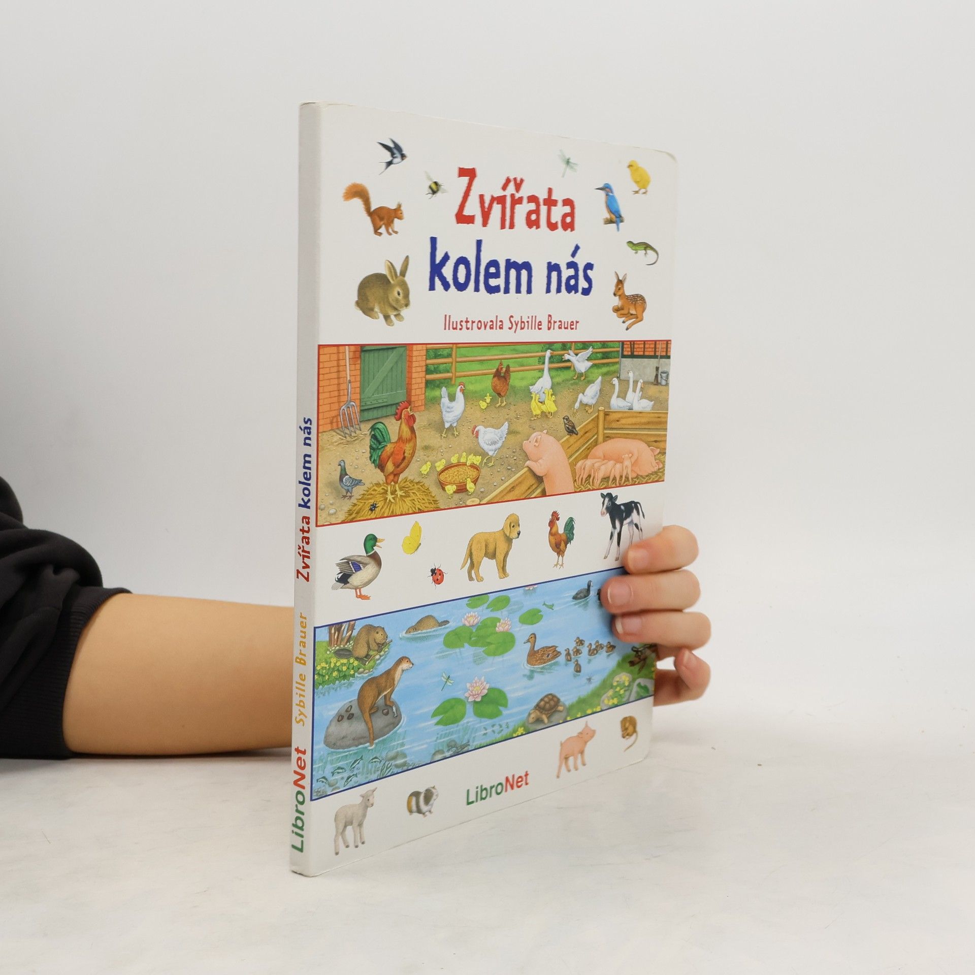 Sybille Brauer Zvířata kolem nás