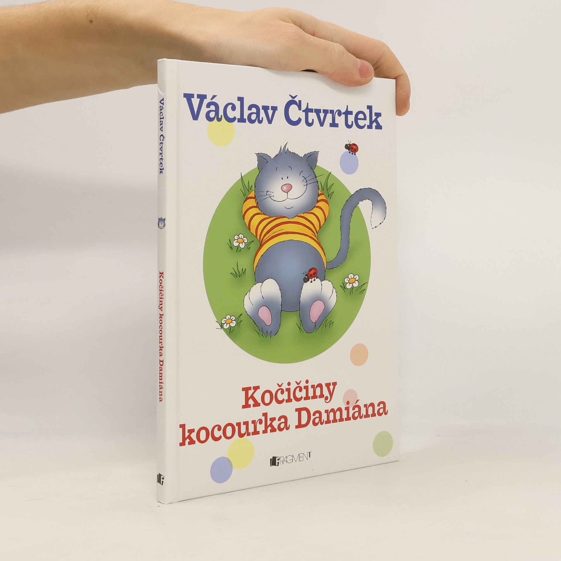 Kočičiny kocourka Damiána