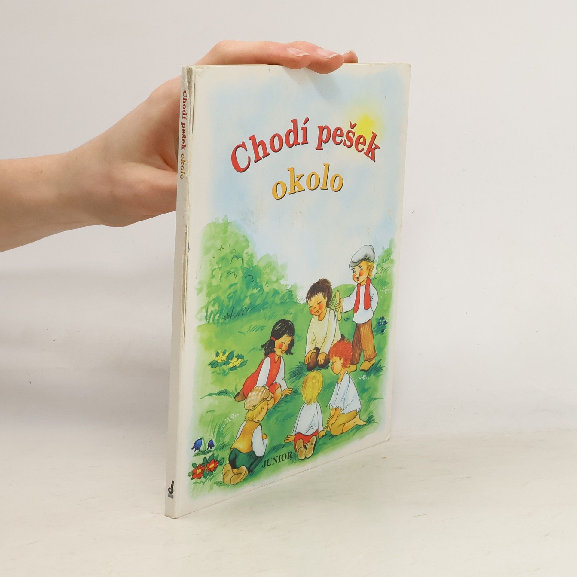 Vladimíra Vopičková Chodí pešek okolo (leporelo)