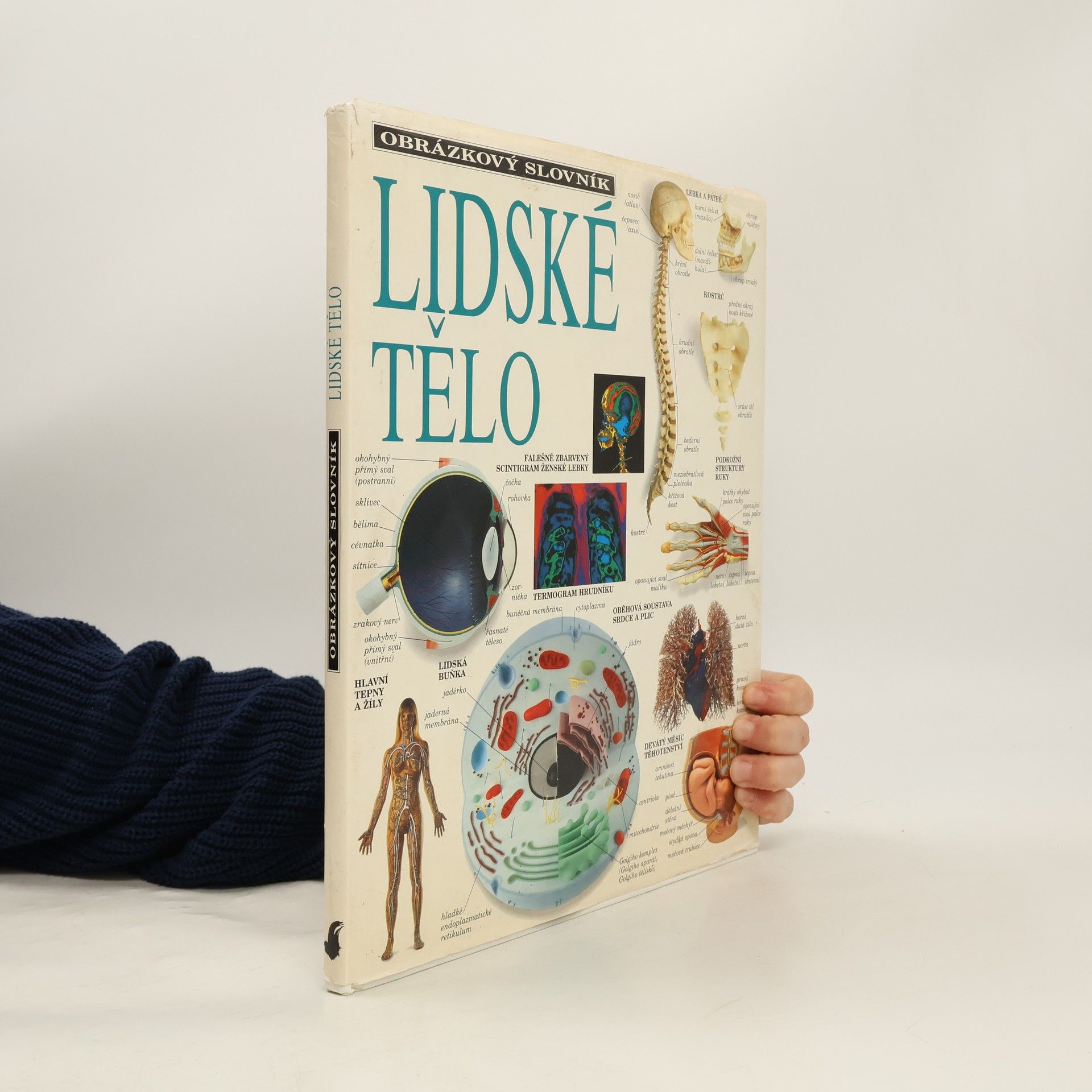 Jan Forejt Lidské tělo